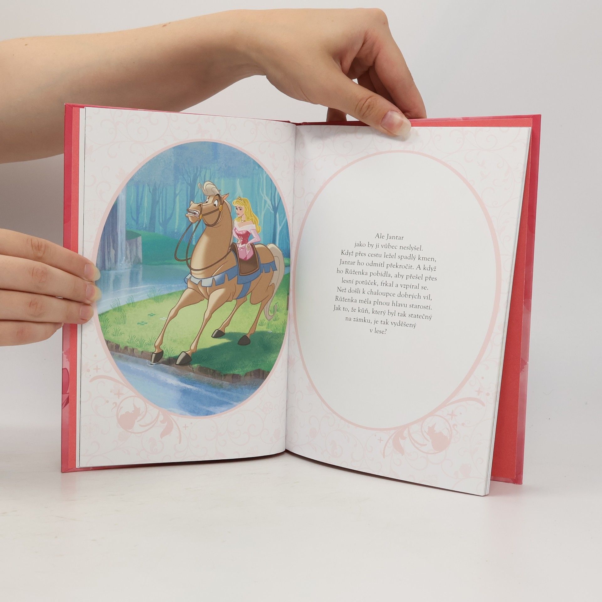 Disney Storybook Artists Šípková Růženka