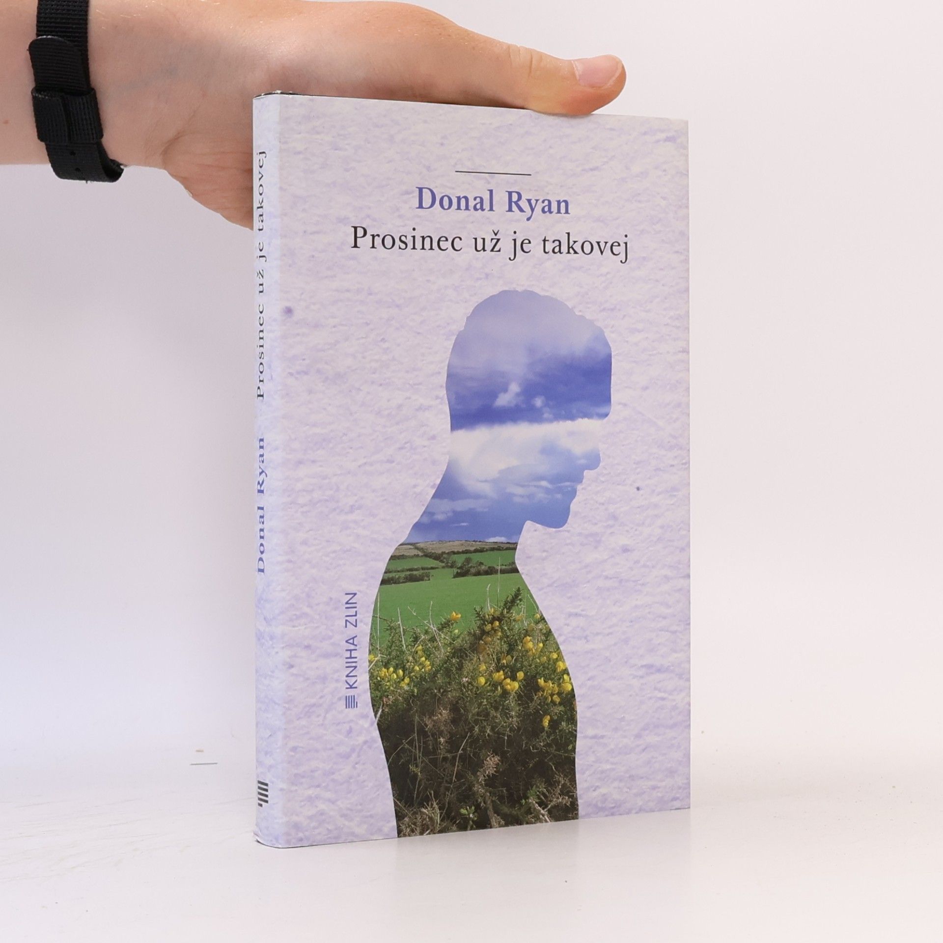 Donal Ryan Prosinec už je takovej
