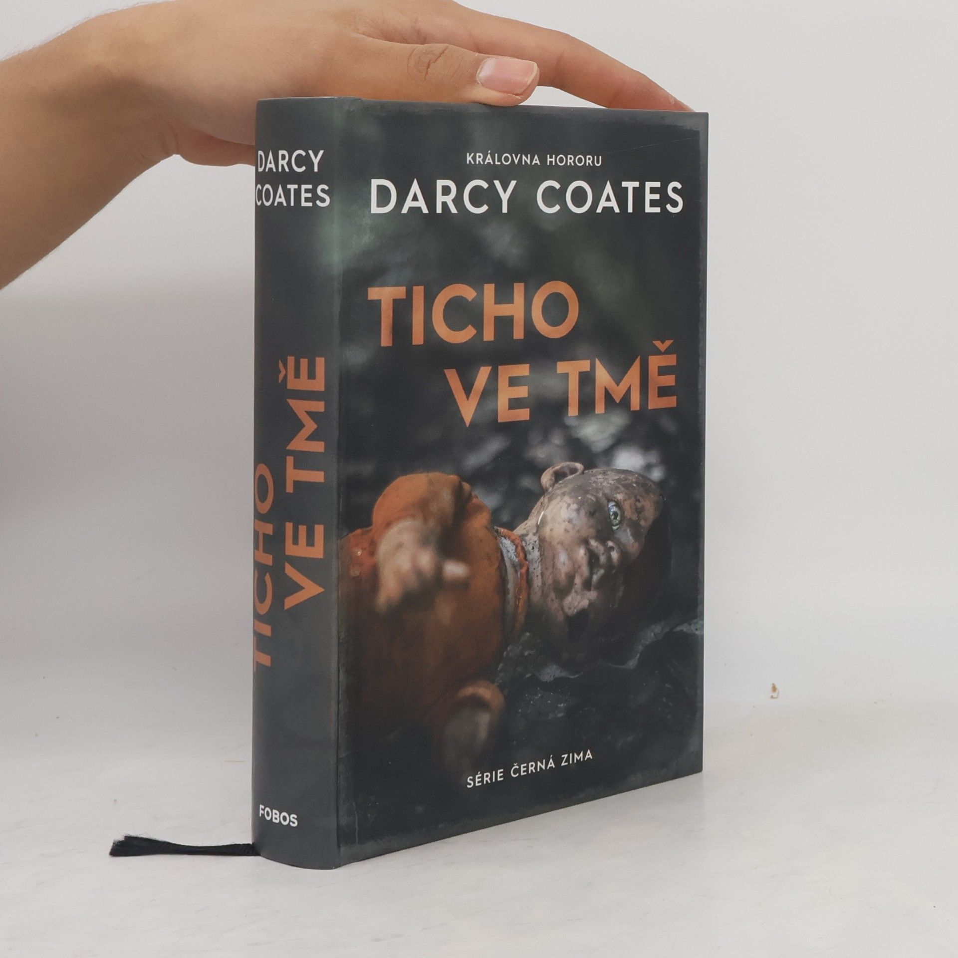 Darcy Coates Ticho ve tmě
