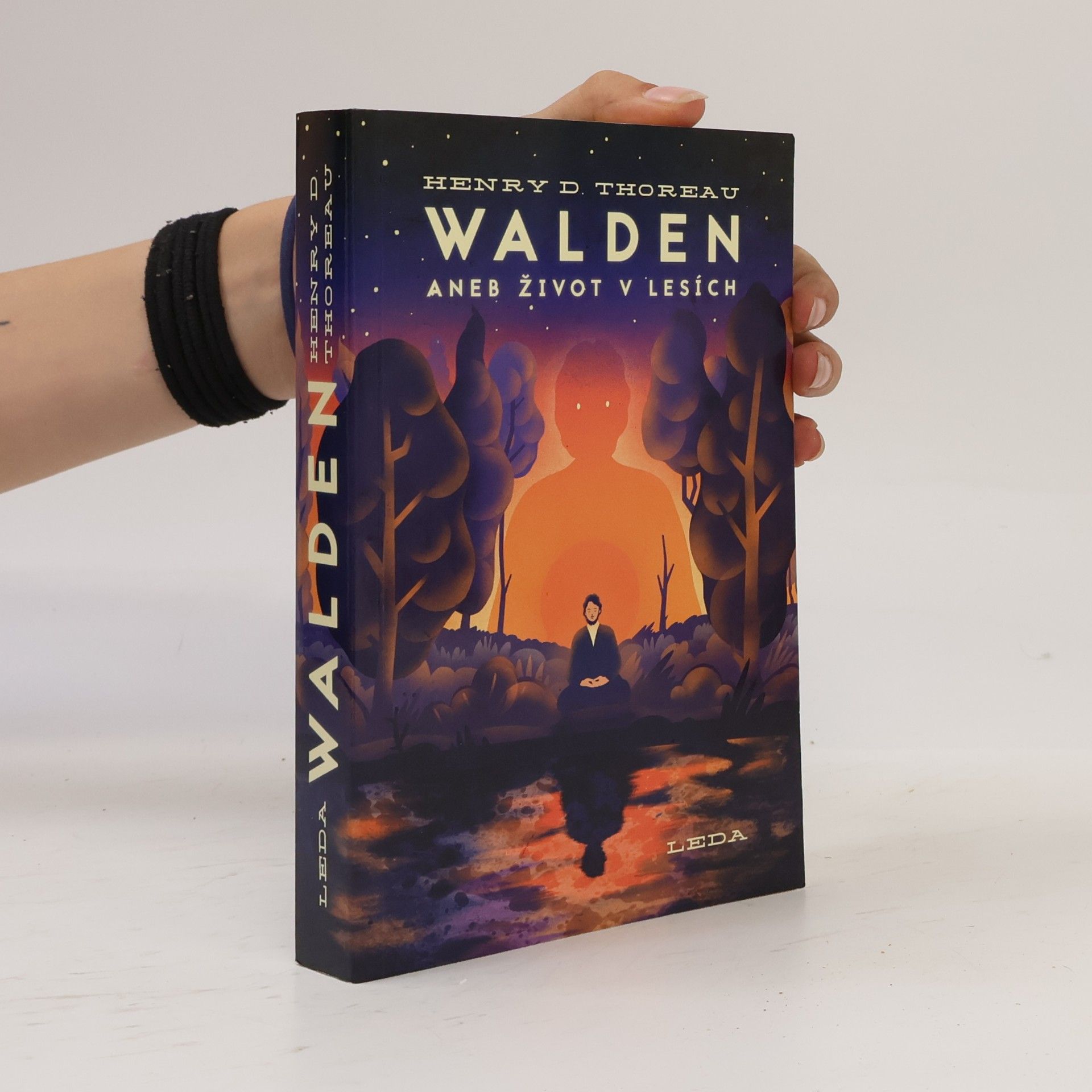 Henry David Thoreau Walden aneb Život v lesích