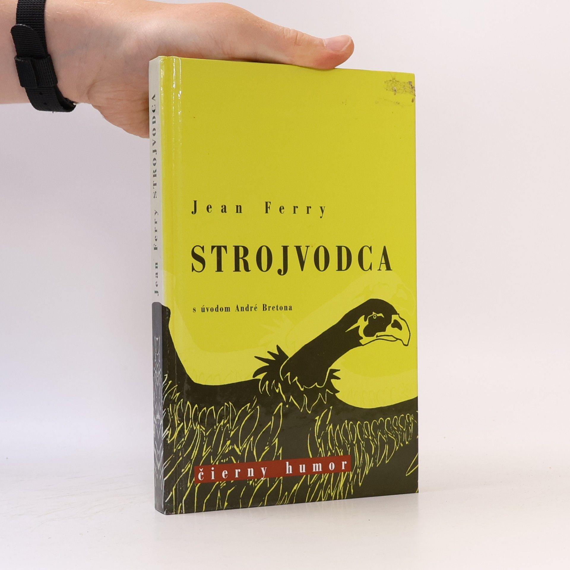 Jean Ferry Strojvodca