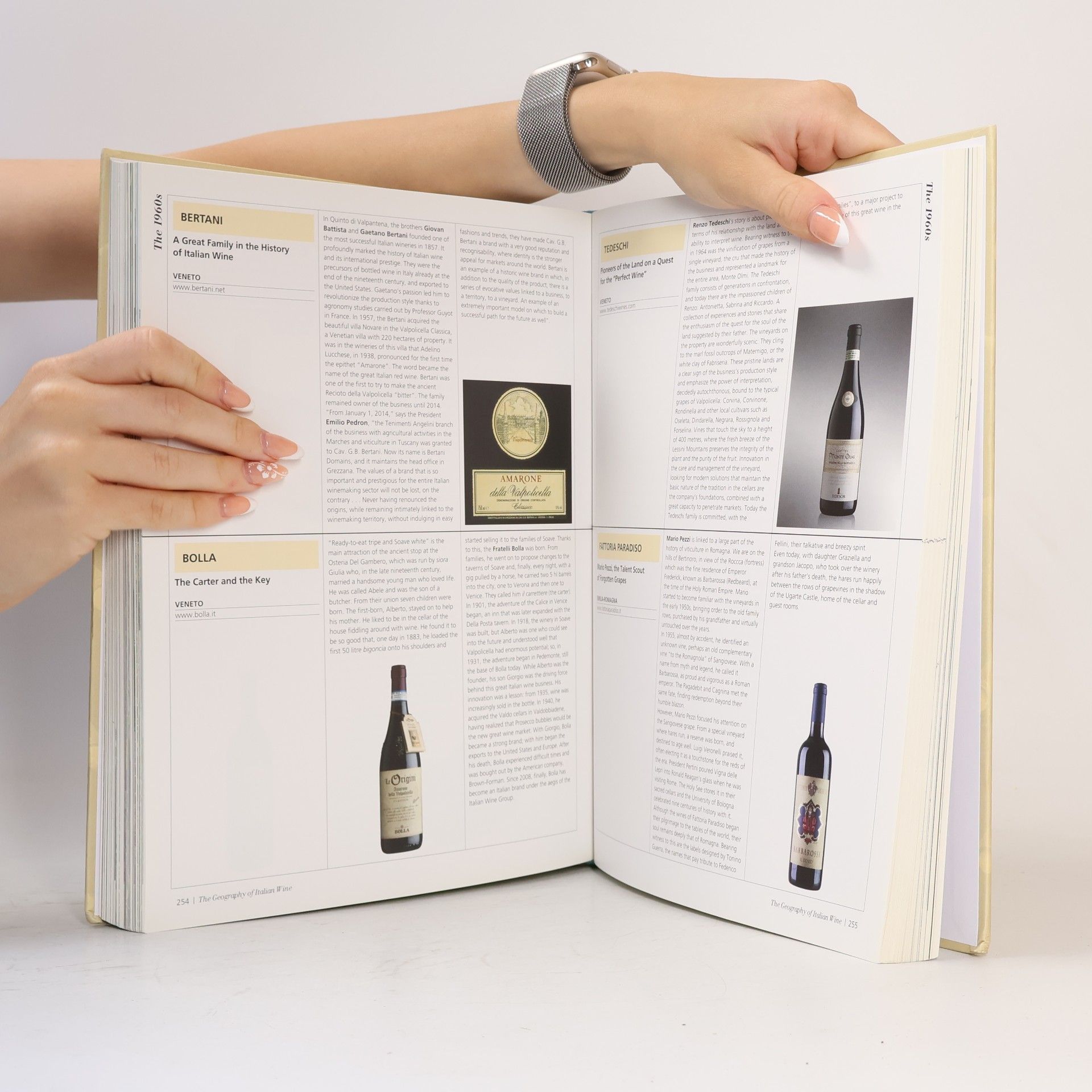 Walter Filiputti The Modern History of Italian Wine