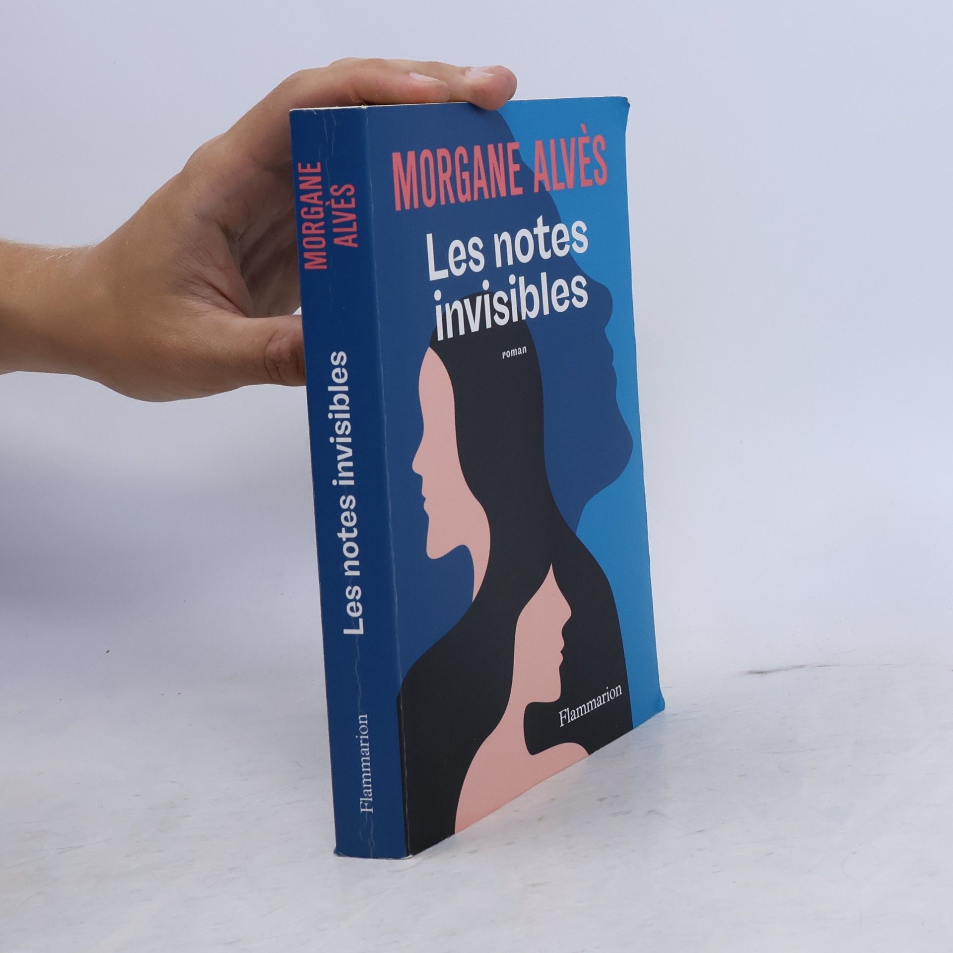 Morgane Alvès Les notes invisibles