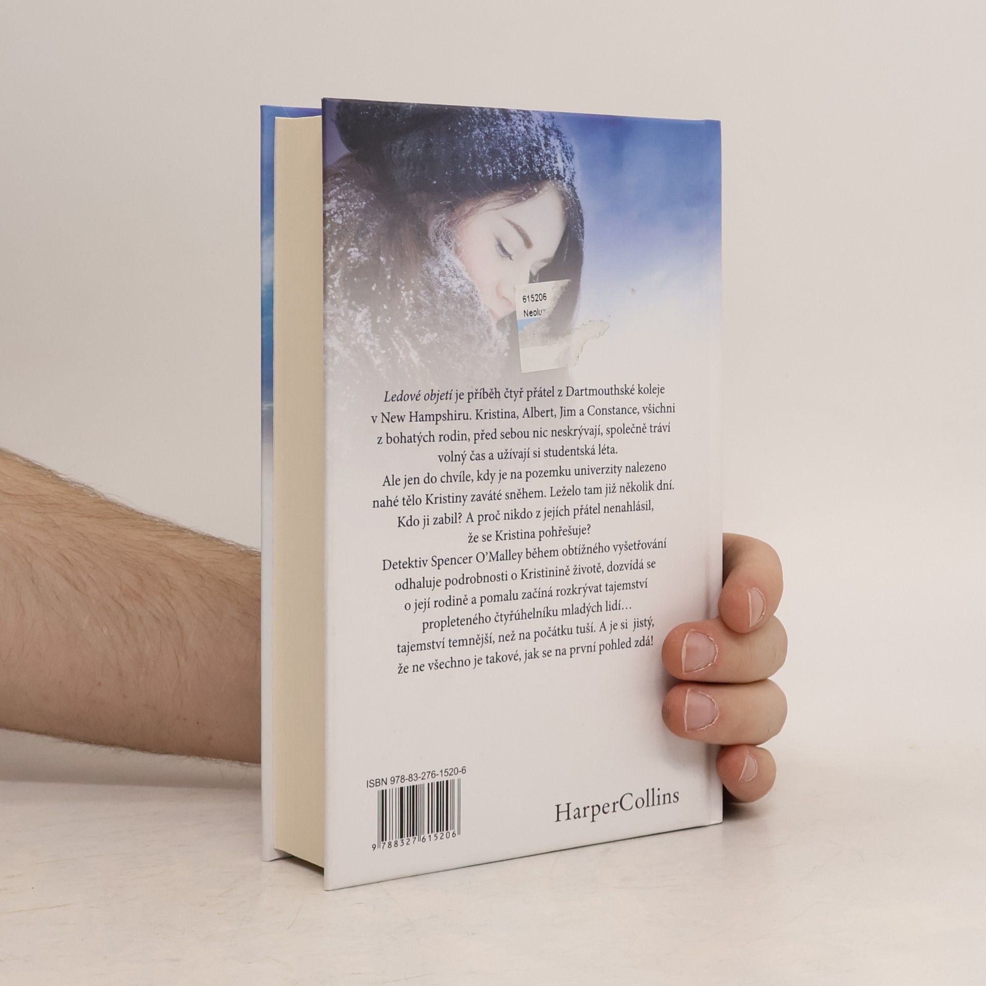 Paullina Simons Ledové objetí