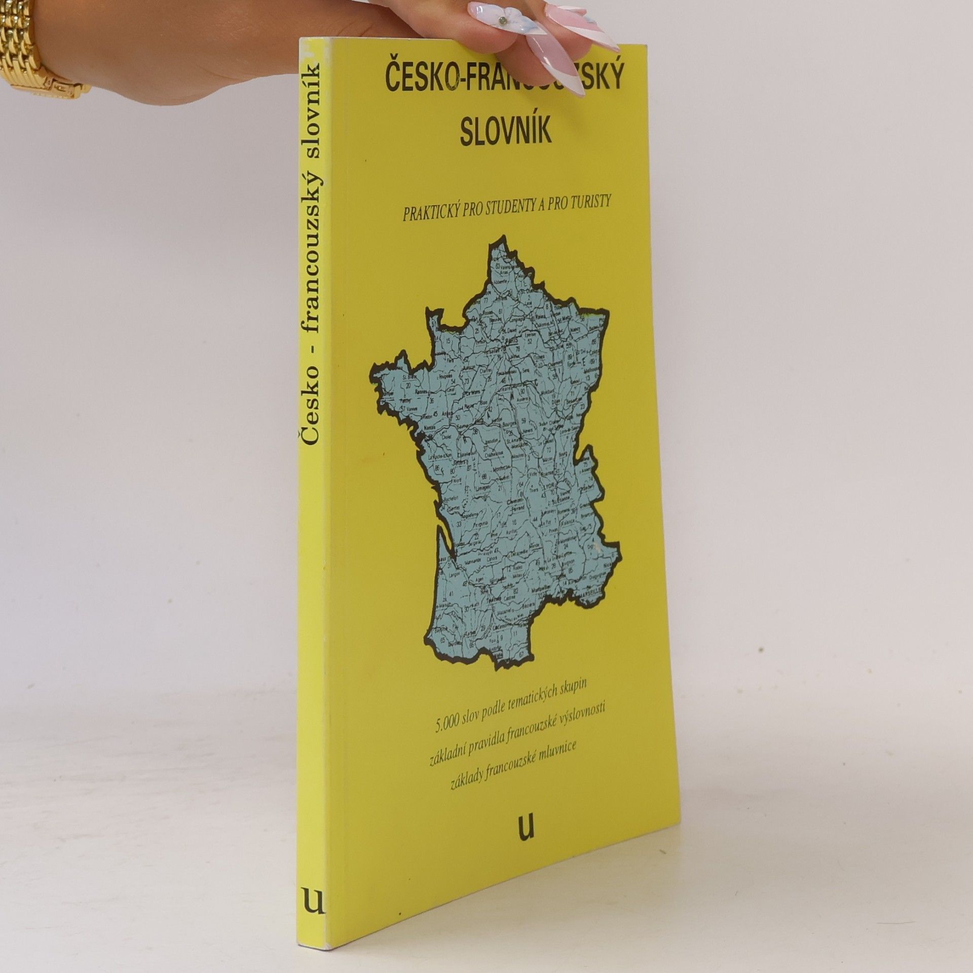 Collectif d'auteurs Česko-francouzský slovník