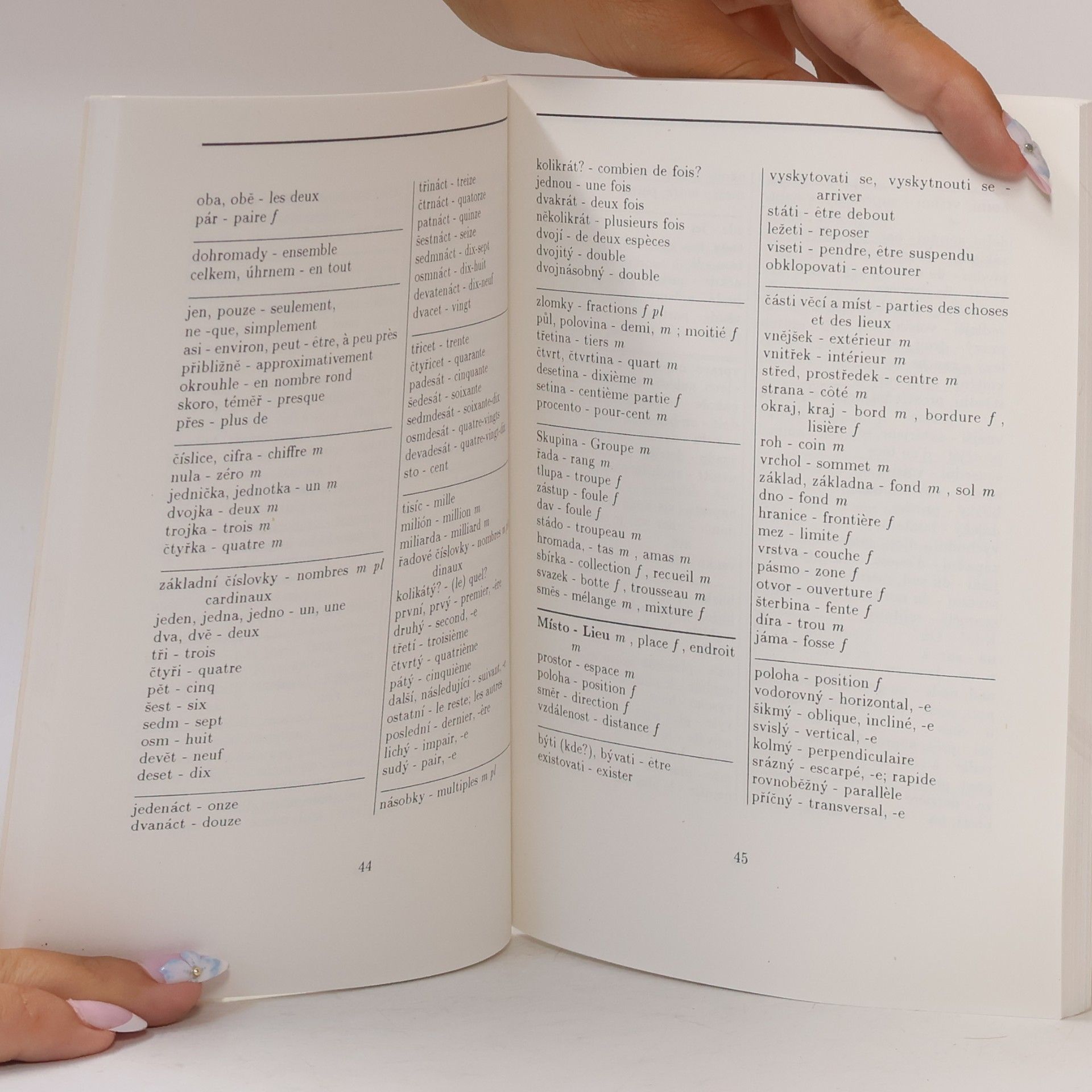 Various authors Česko-francouzský slovník