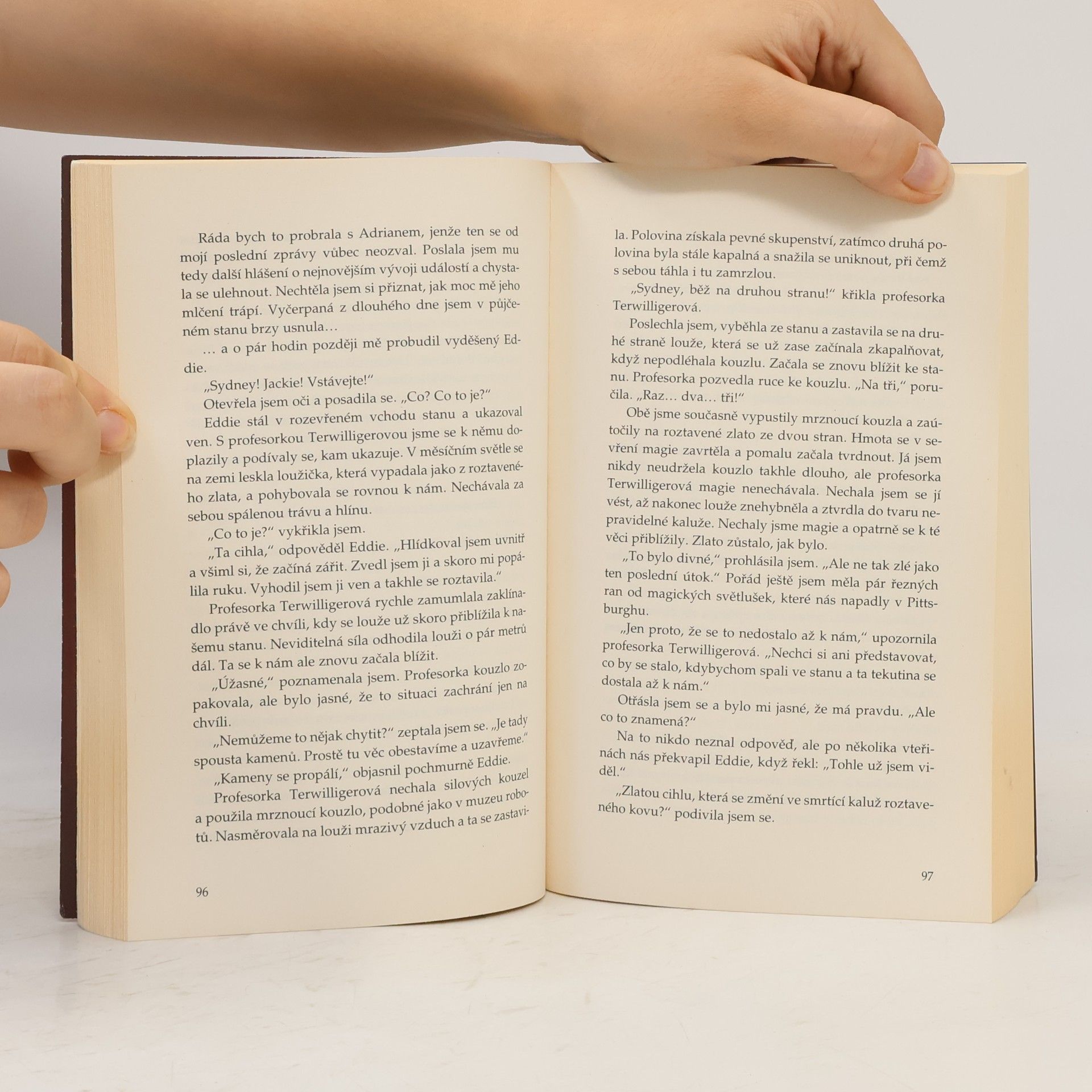 Richelle Mead Pokrevní pouta. 6, Rubínový kruh