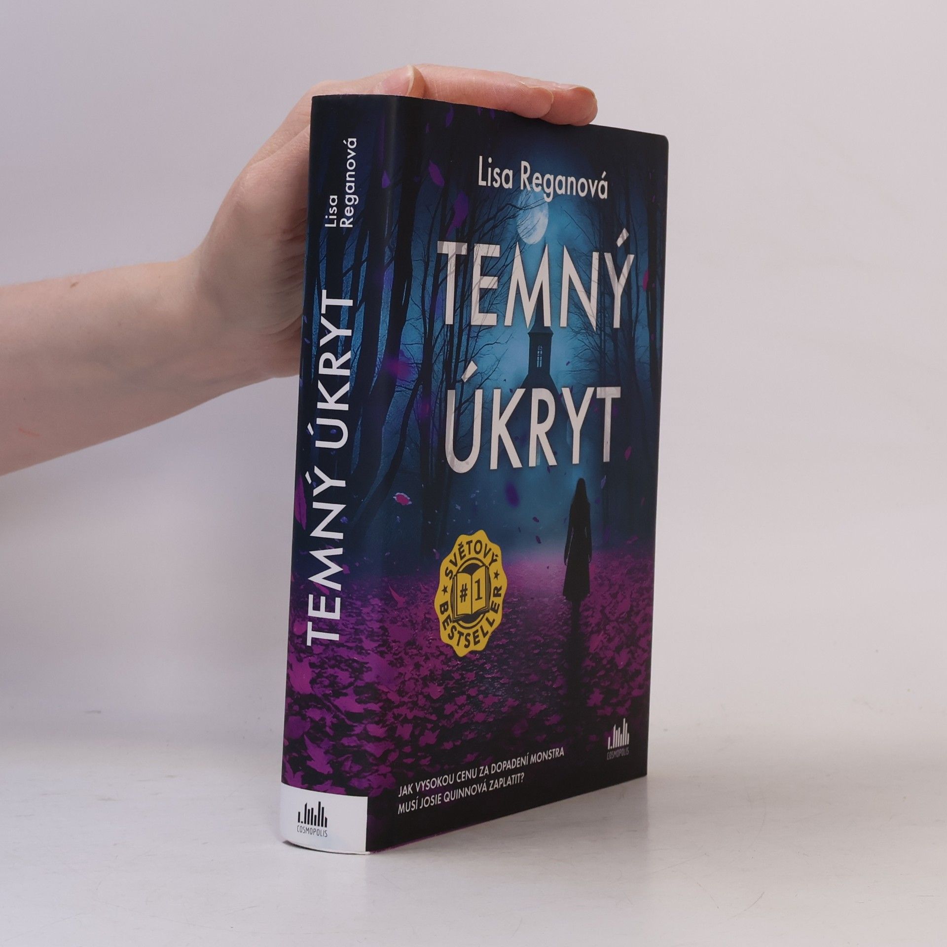 Lisa Regan Temný úkryt