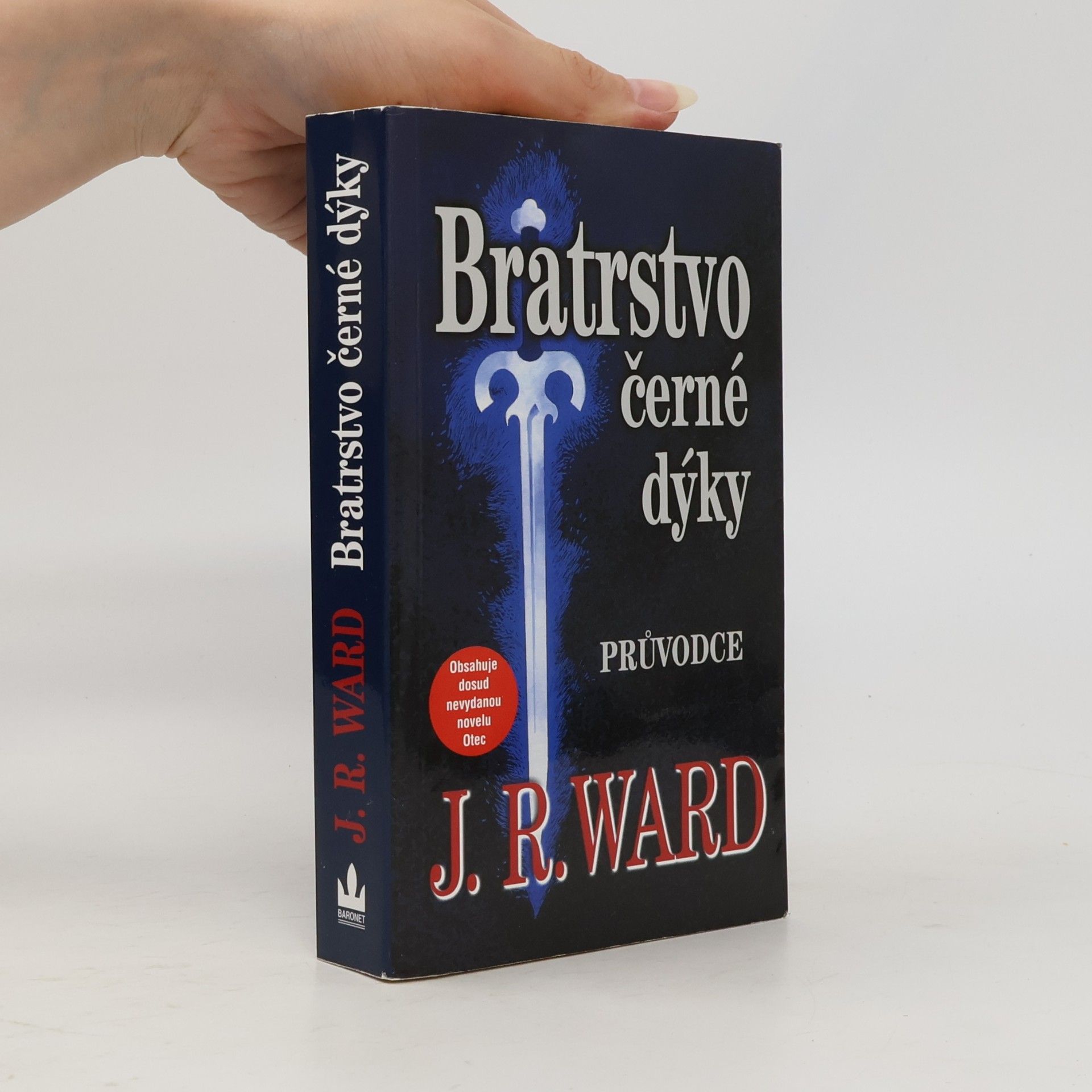 Jessica Rowley Pell Bird Blakemore Bratrstvo černé dýky. Průvodce zasvěceného čtenáře