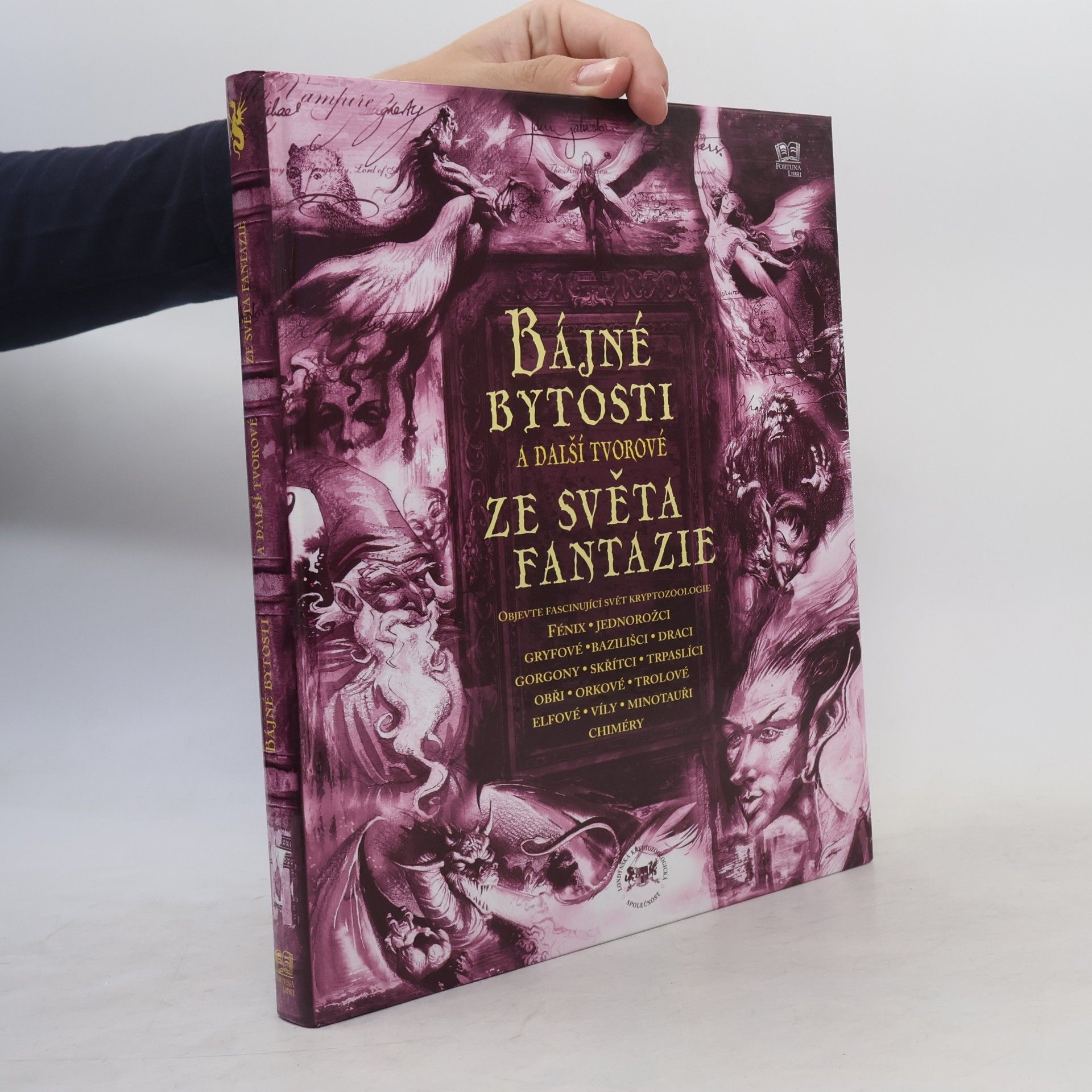 Joel Levy Bájné bytosti a další tvorové ze světa fantazie