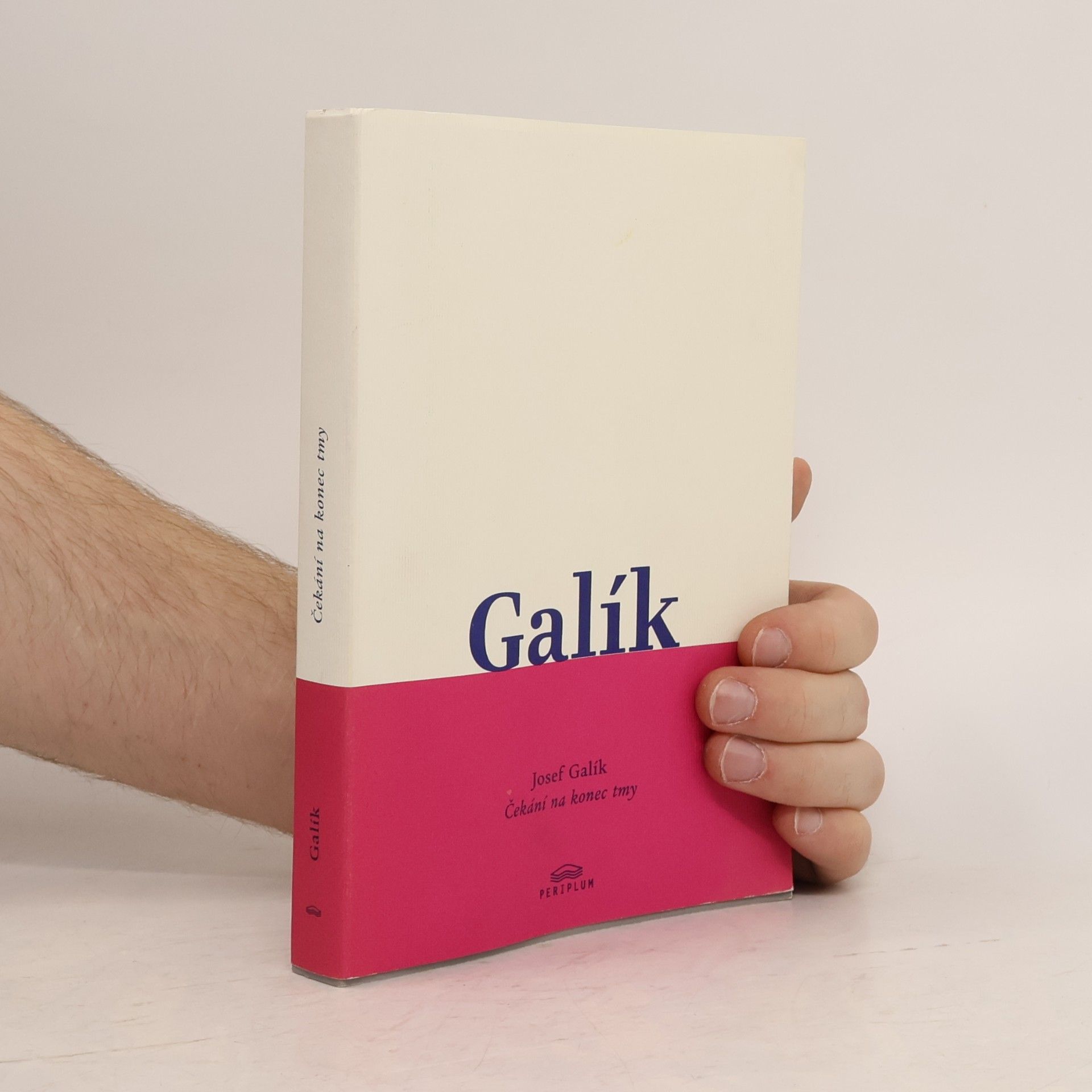 Josef Galík Čekání na konec tmy