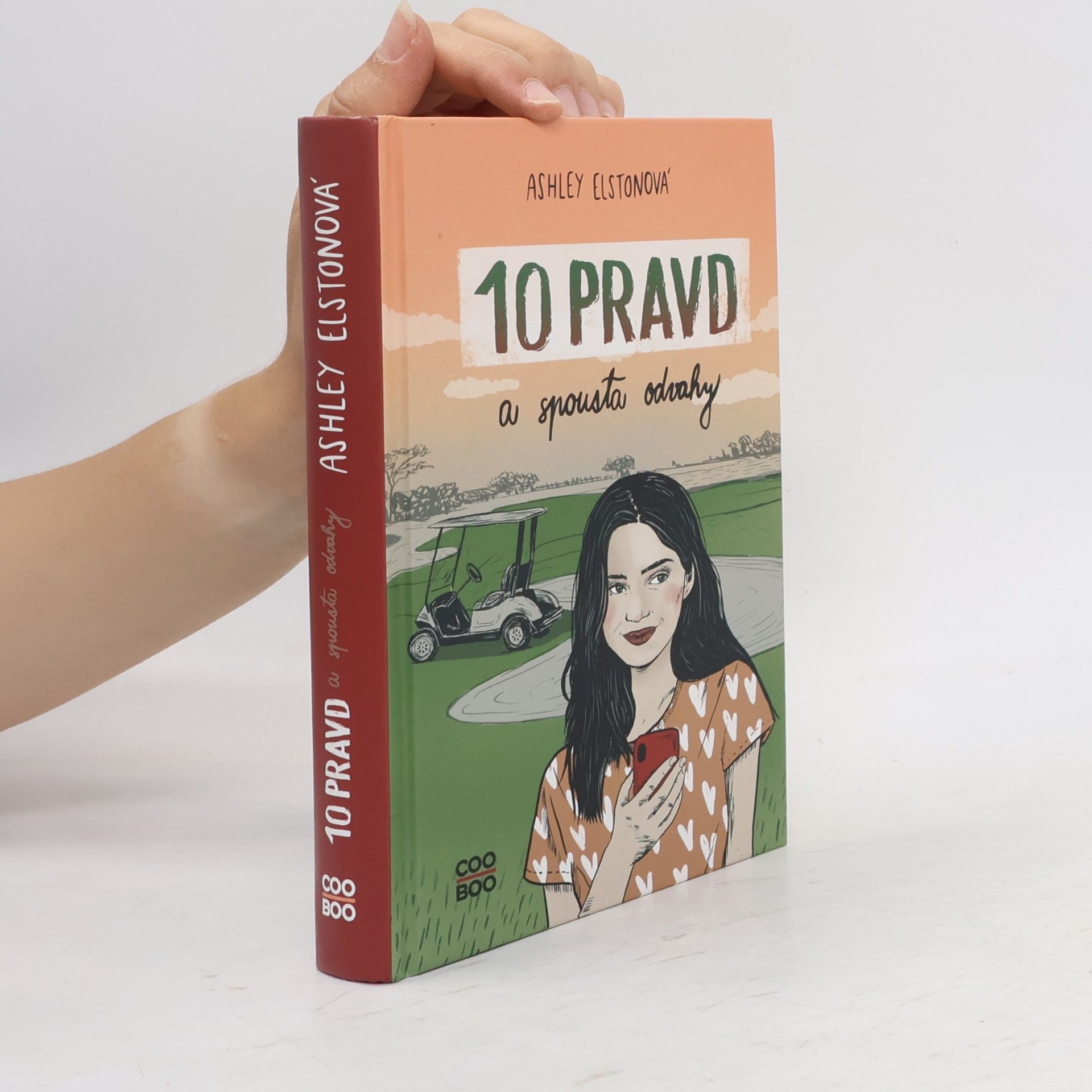 Ashley Elston 10 pravd a spousta odvahy