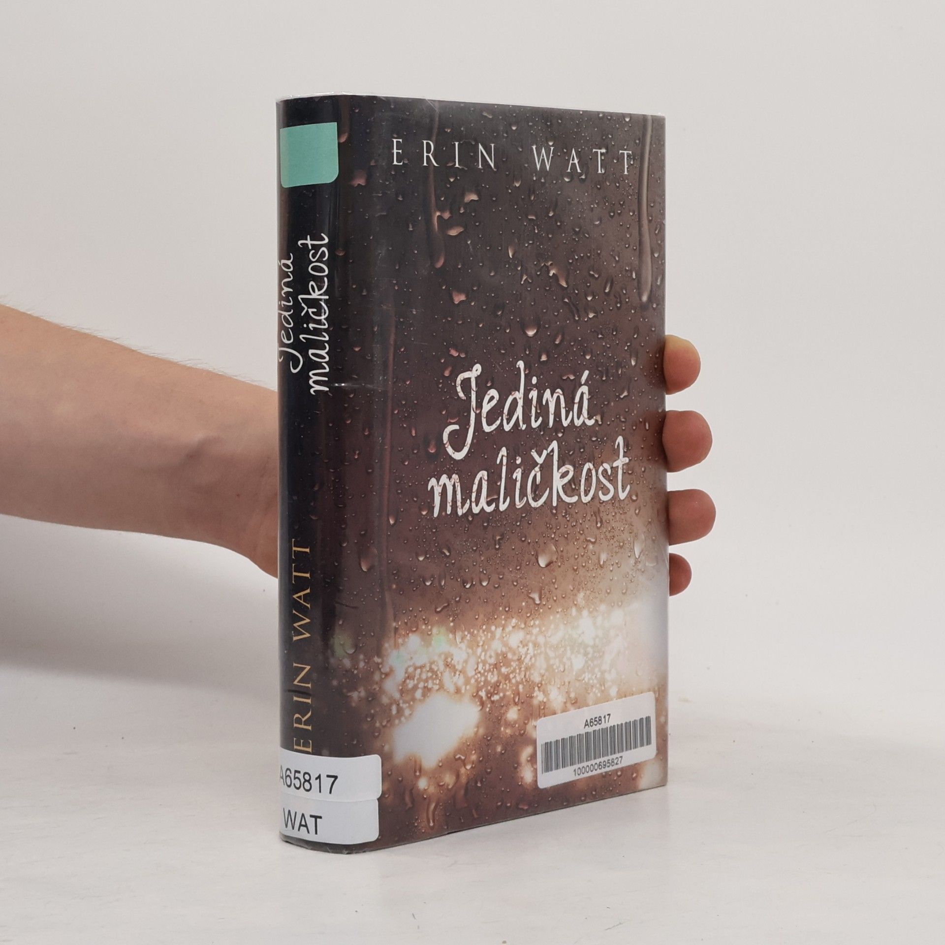 Erin Watt Jediná maličkost