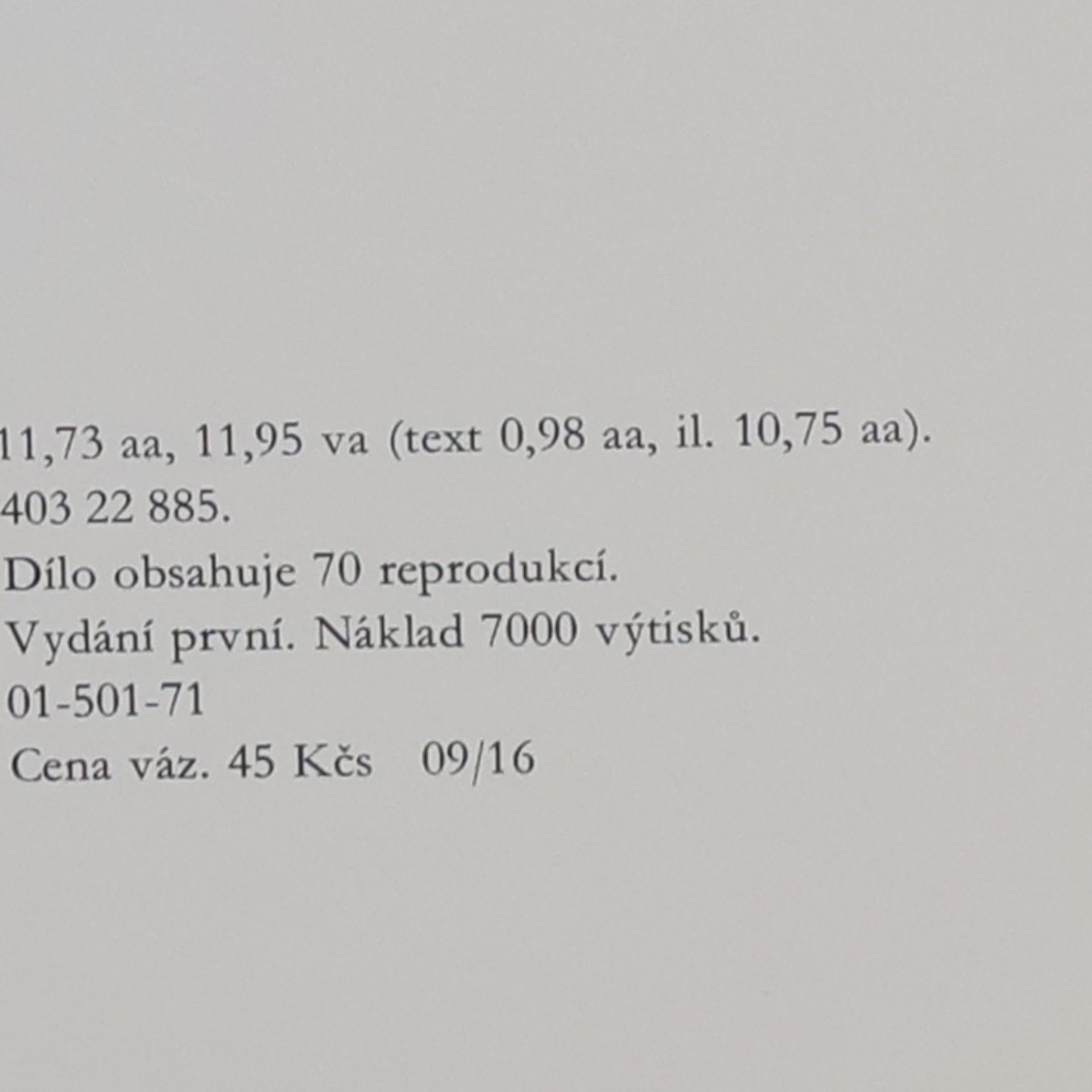 Ota Janeček Žena