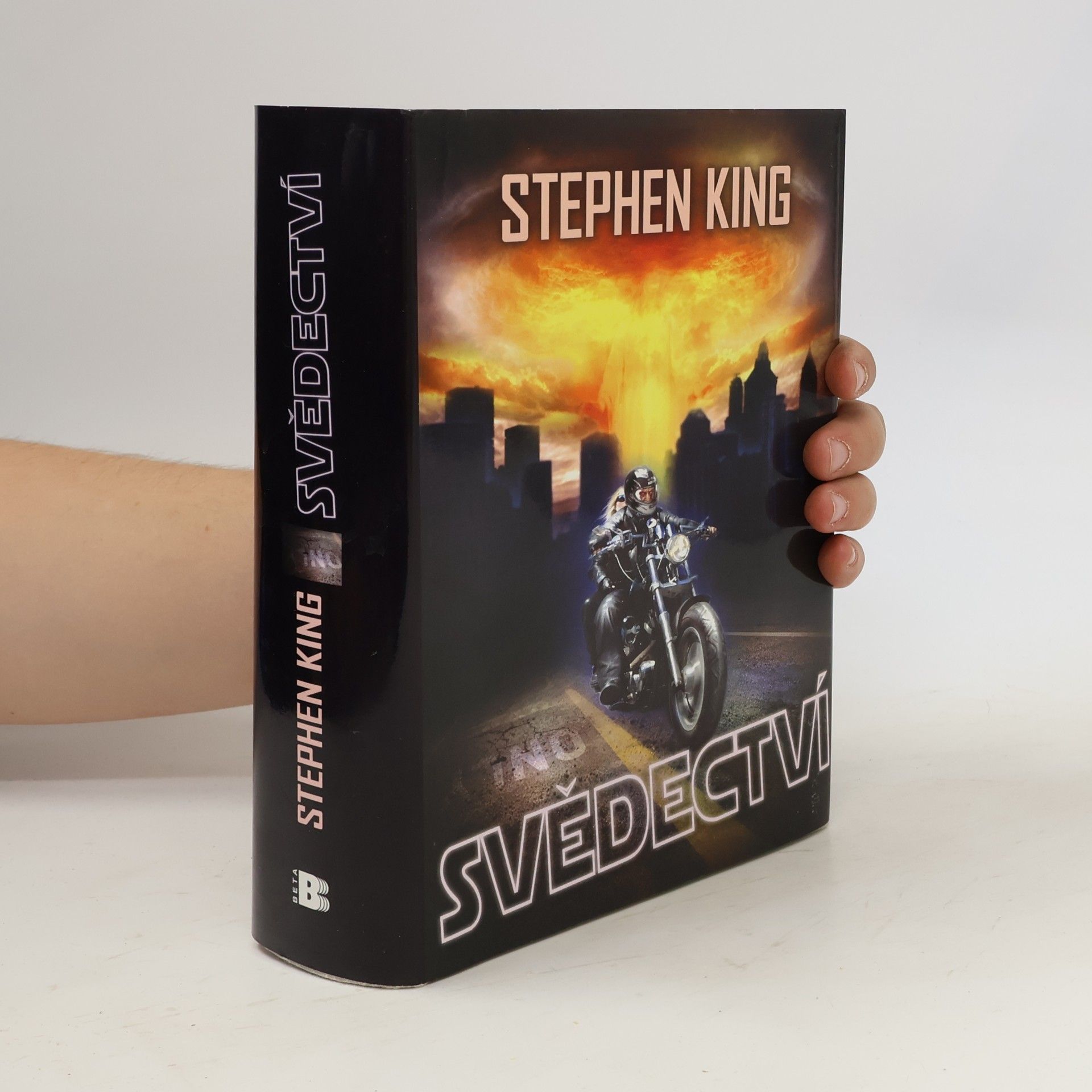 Stephen King Svědectví