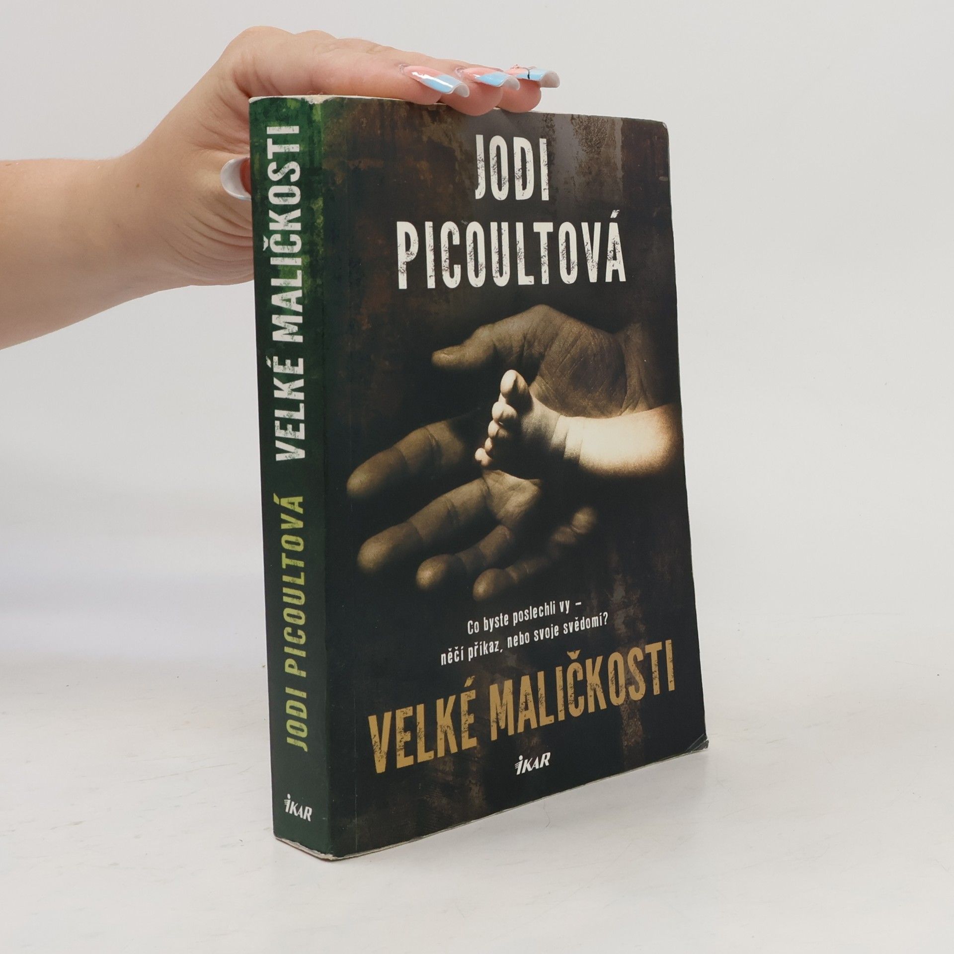 Jodi Picoult Velké maličkosti
