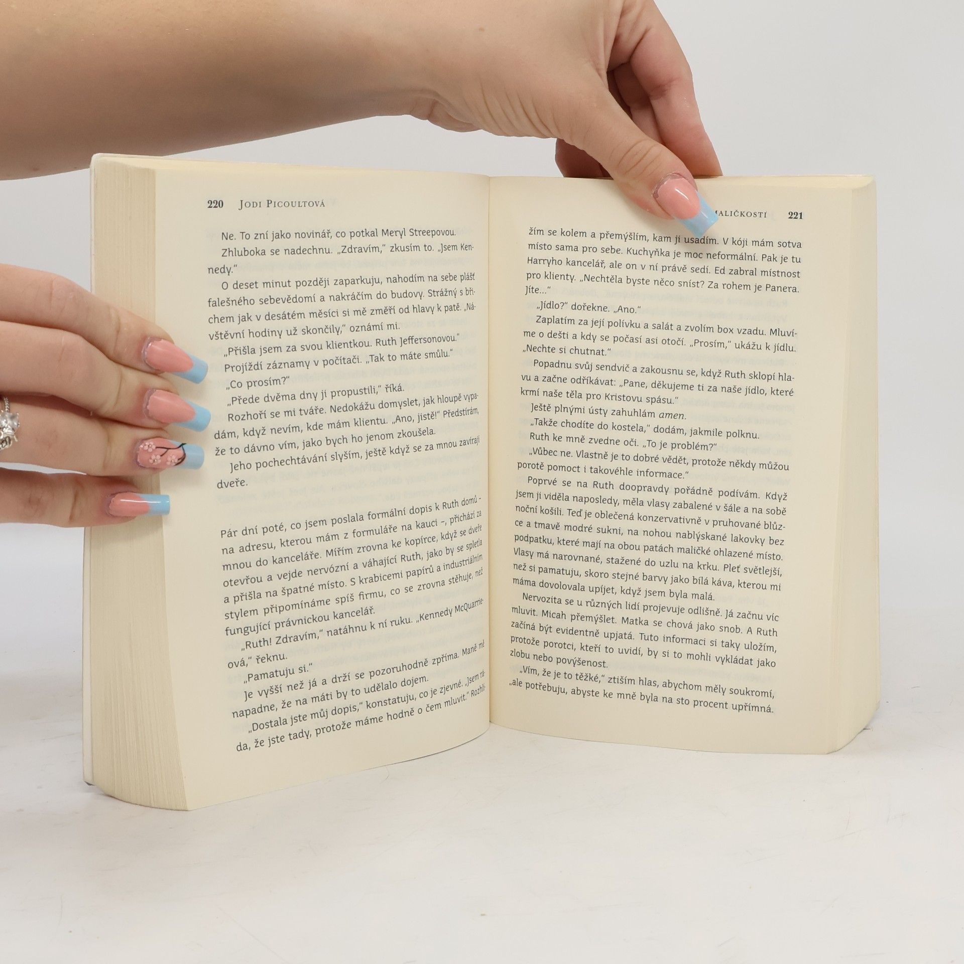 Jodi Picoult Velké maličkosti