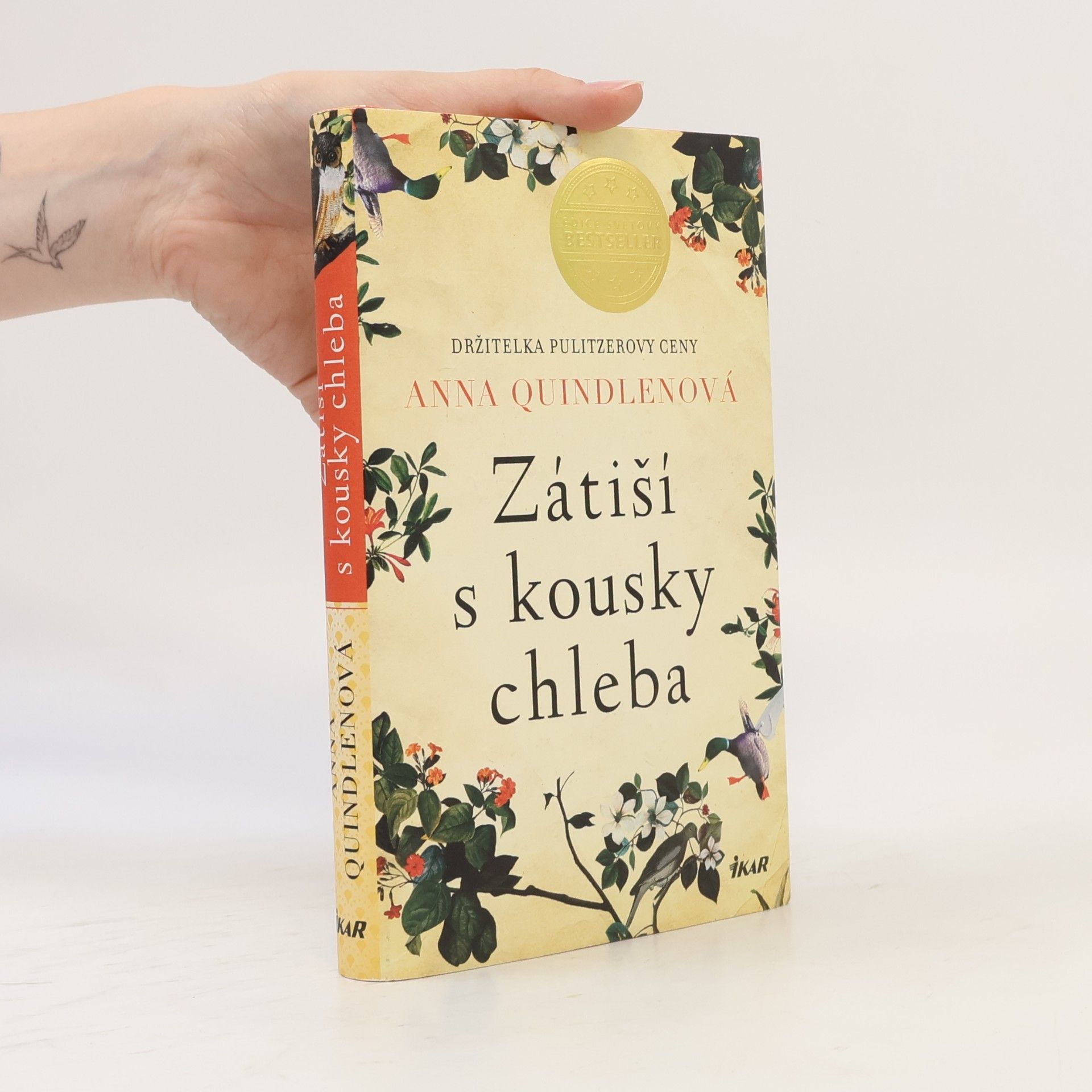 Anna Quindlen Zátiší s kousky chleba