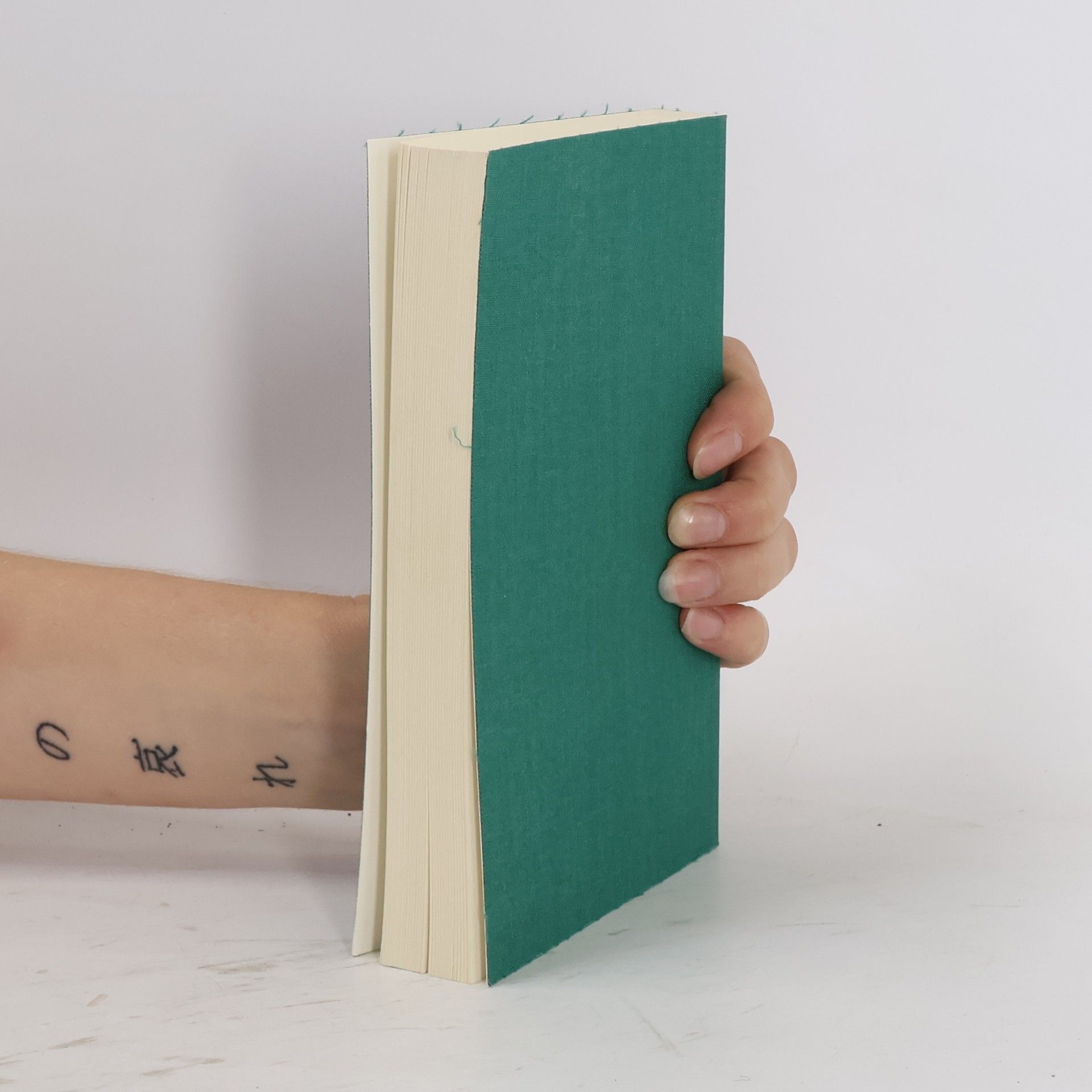 Robert Walser Das Gesamtwerk III