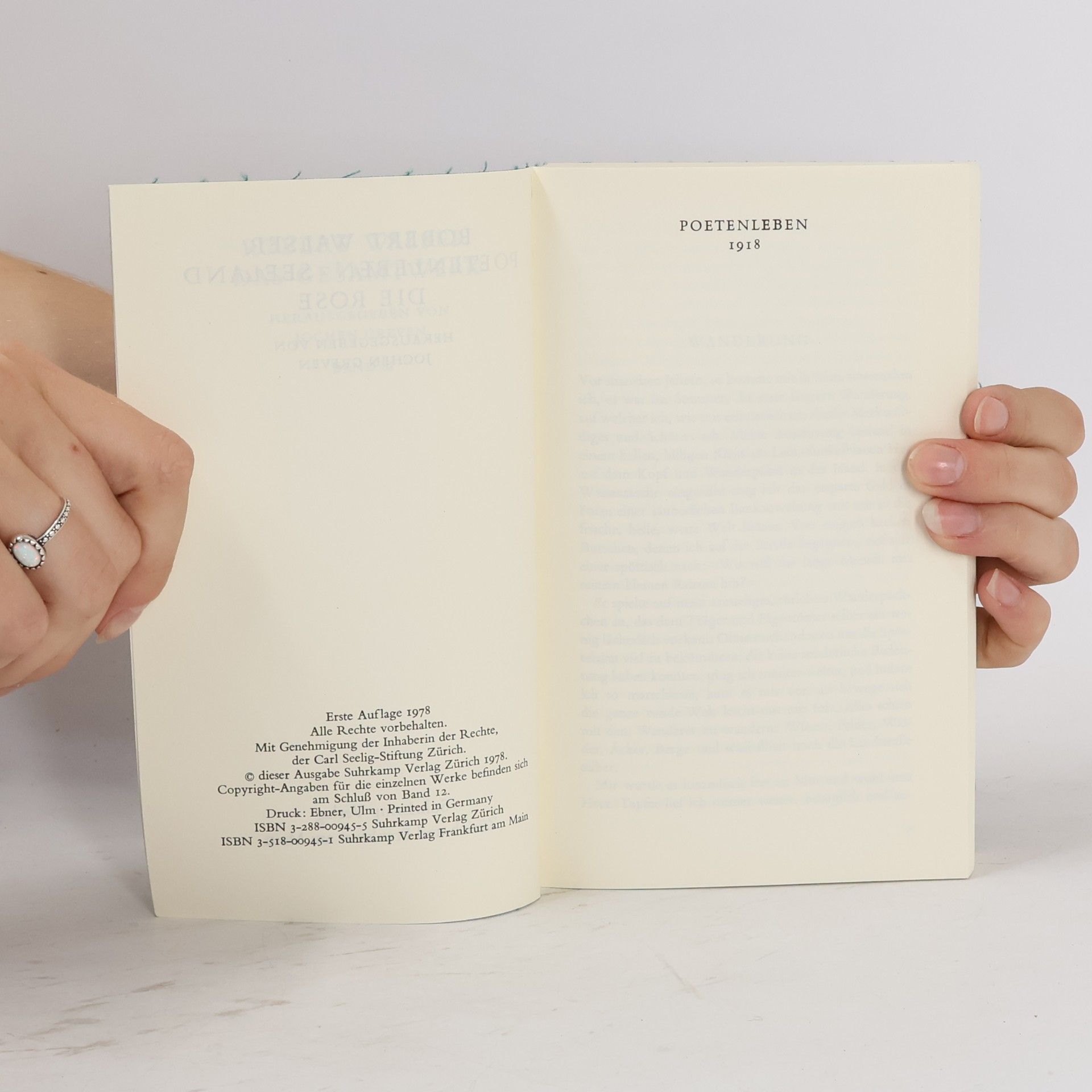 Robert Walser Das Gesamtwerk III