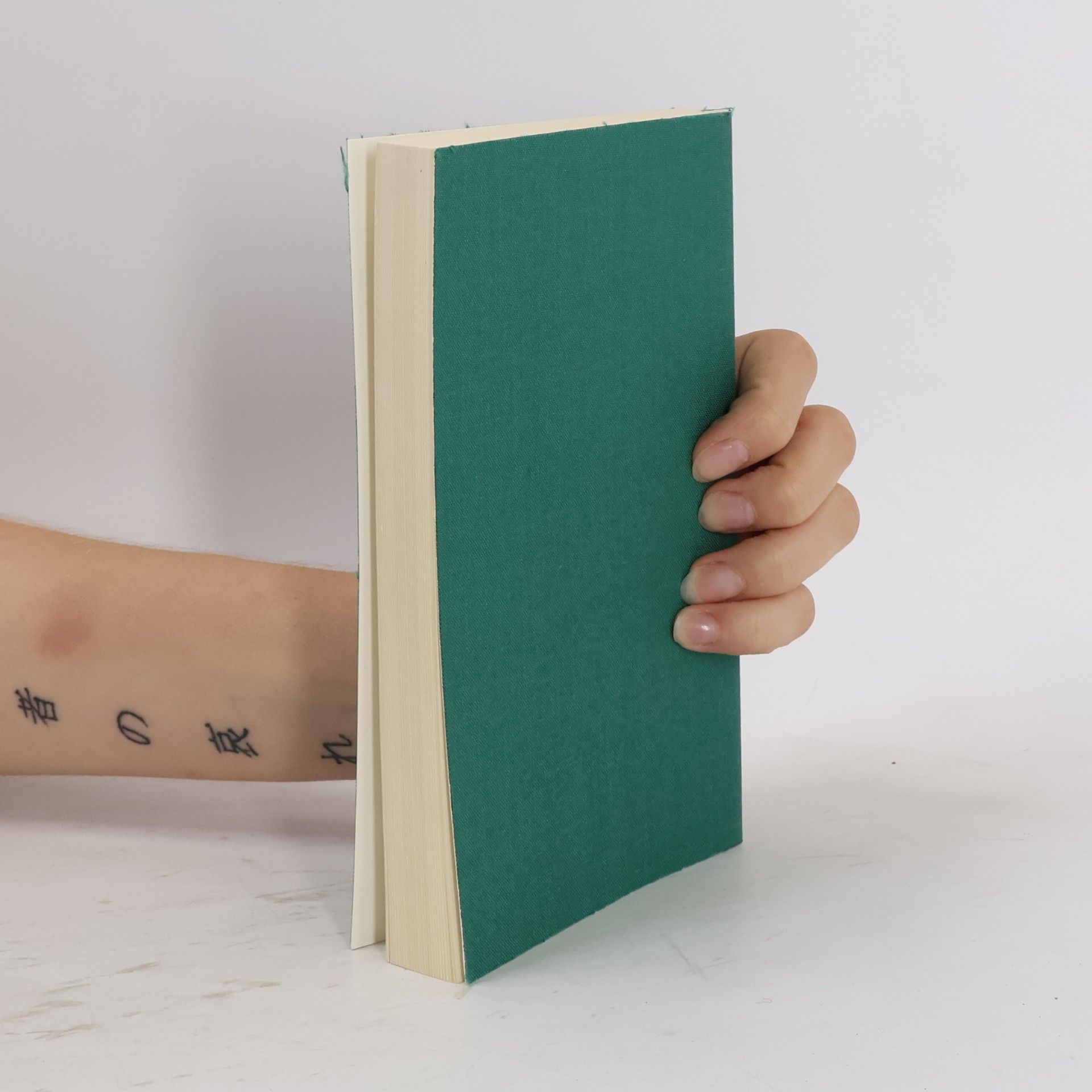 Robert Walser Das Gesamtwerk I
