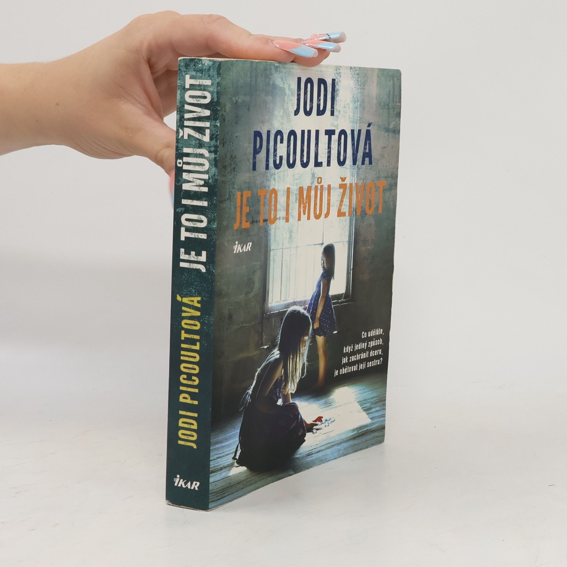 Jodi Picoult Je to i můj život