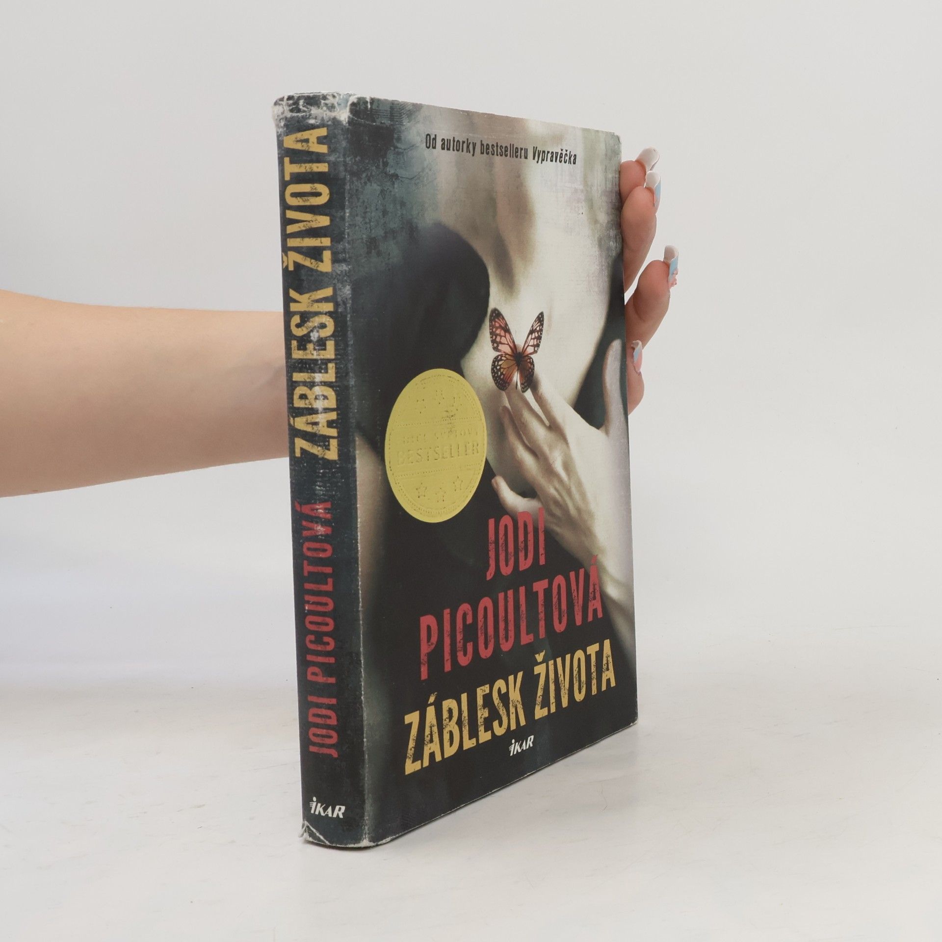Jodi Picoult Záblesk života