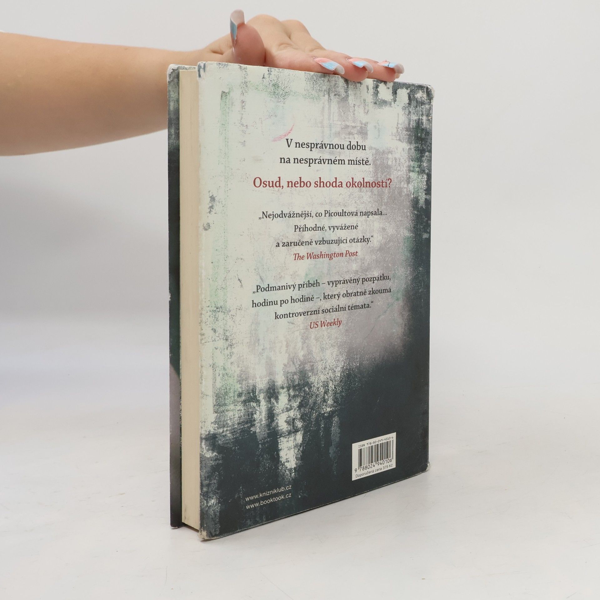 Jodi Picoult Záblesk života