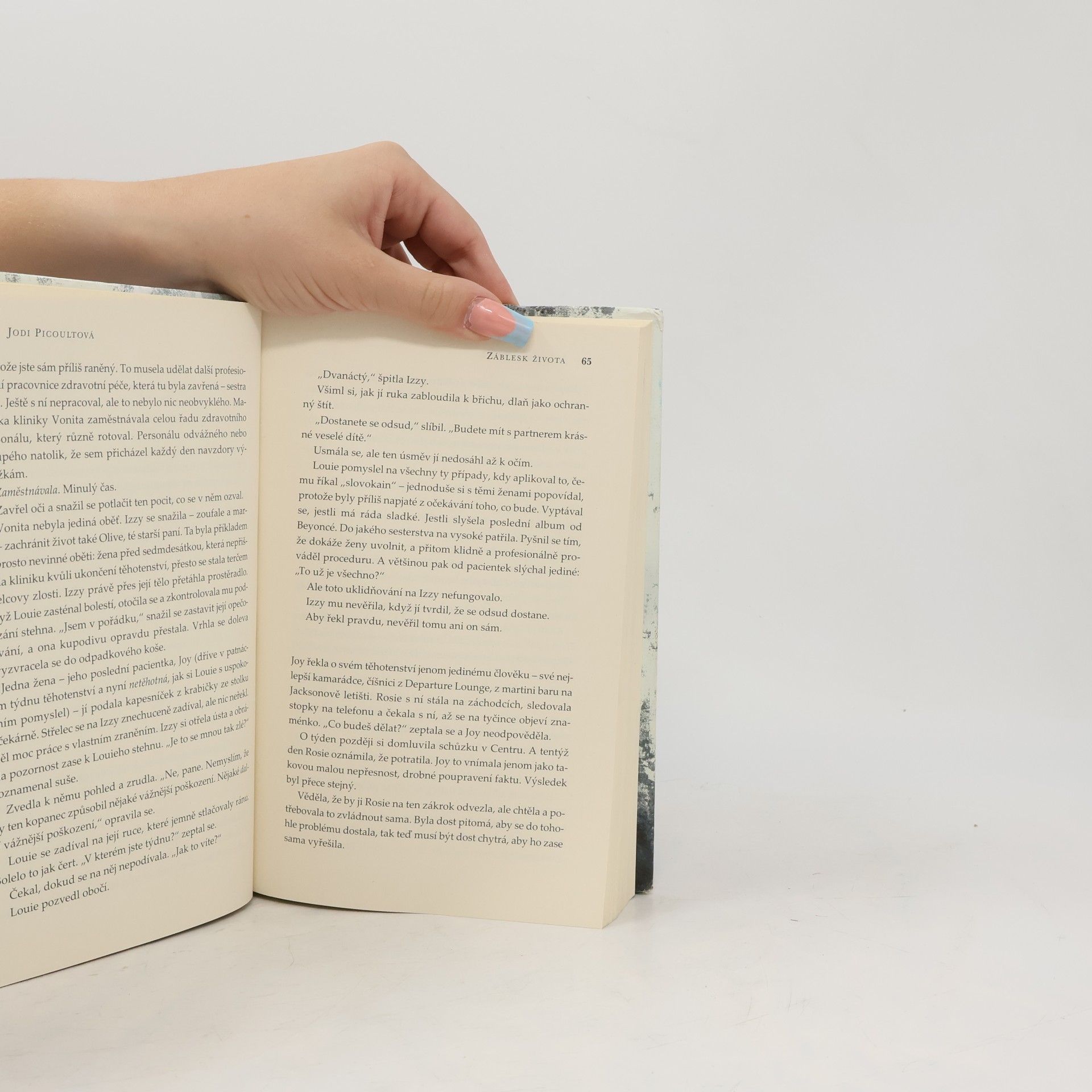 Jodi Picoult Záblesk života