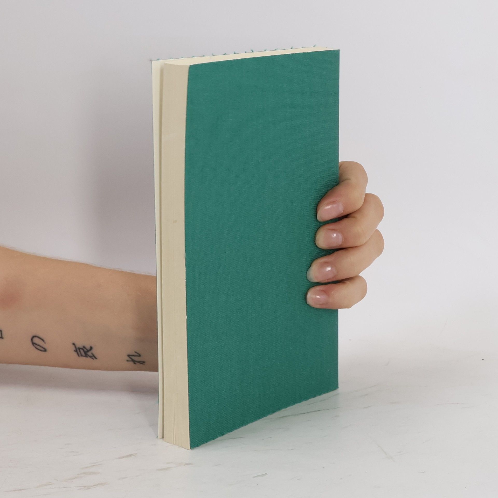 Robert Walser Das Gesamtwerk VI