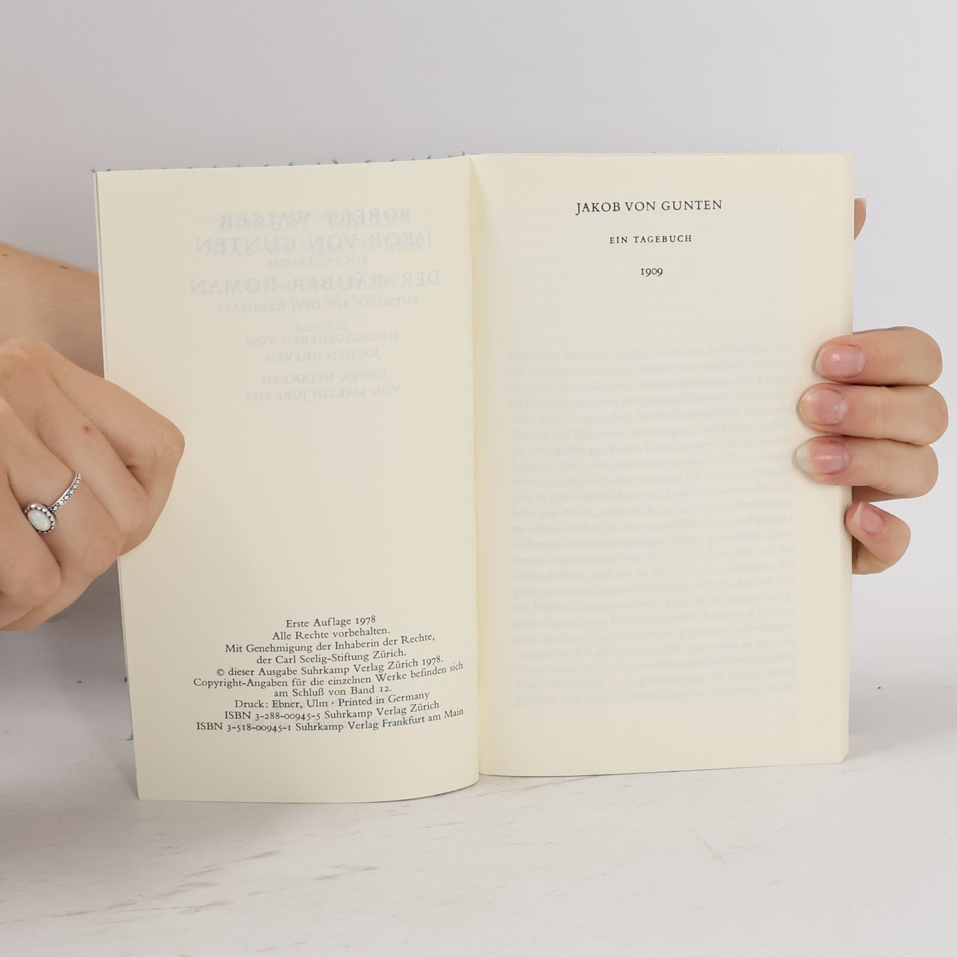 Robert Walser Das Gesamtwerk VI