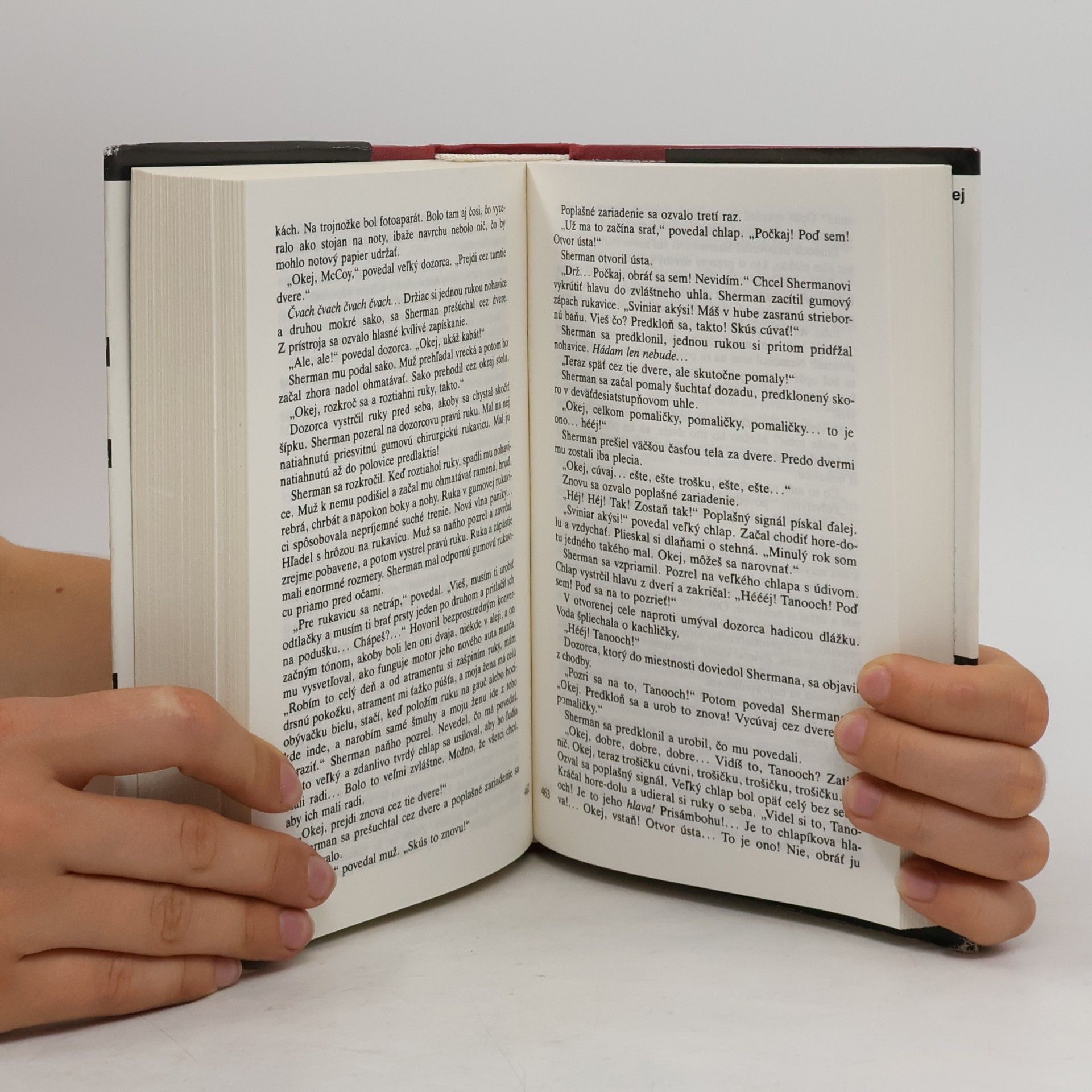 Tom Wolfe Ohňostroj márností