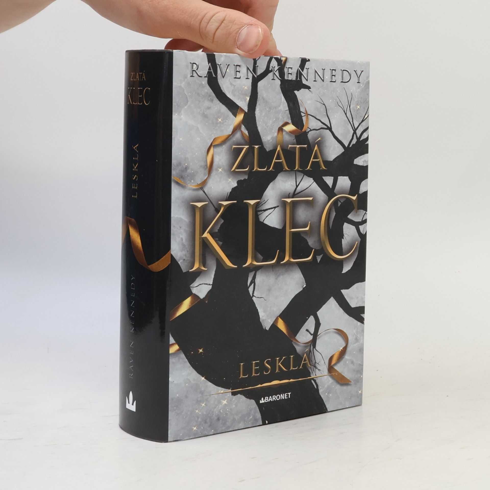 Raven Kennedy Zlatá klec. Lesklá