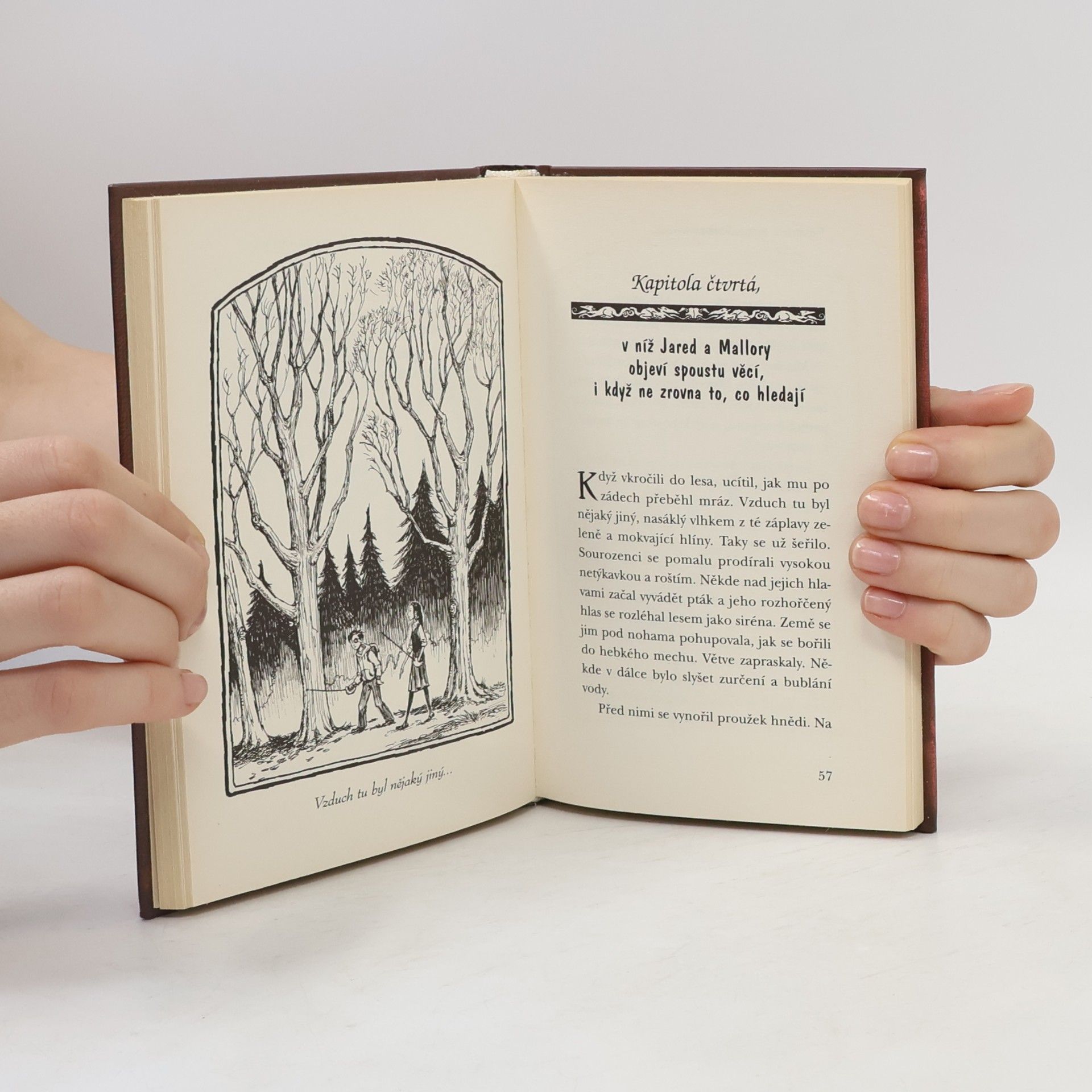 Tony DiTerlizzi Kronika rodu Spiderwicků. Kniha 2., Kámen ke koukání