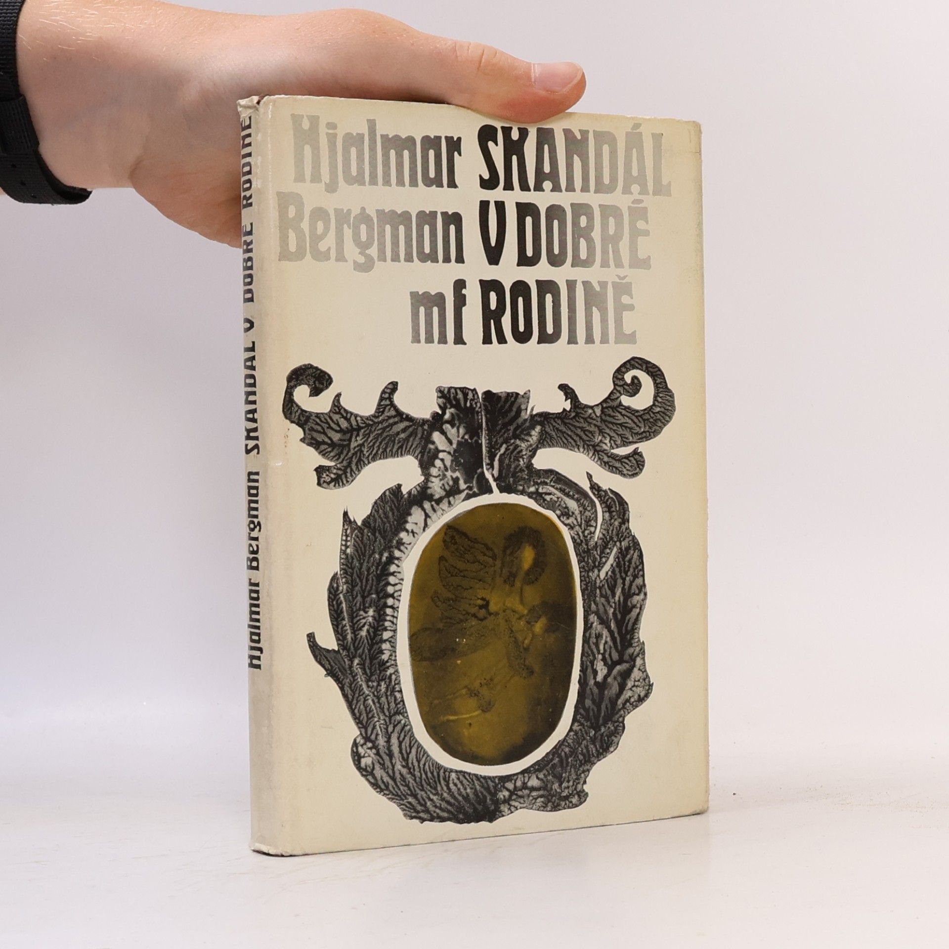 Skandál v dobré rodině