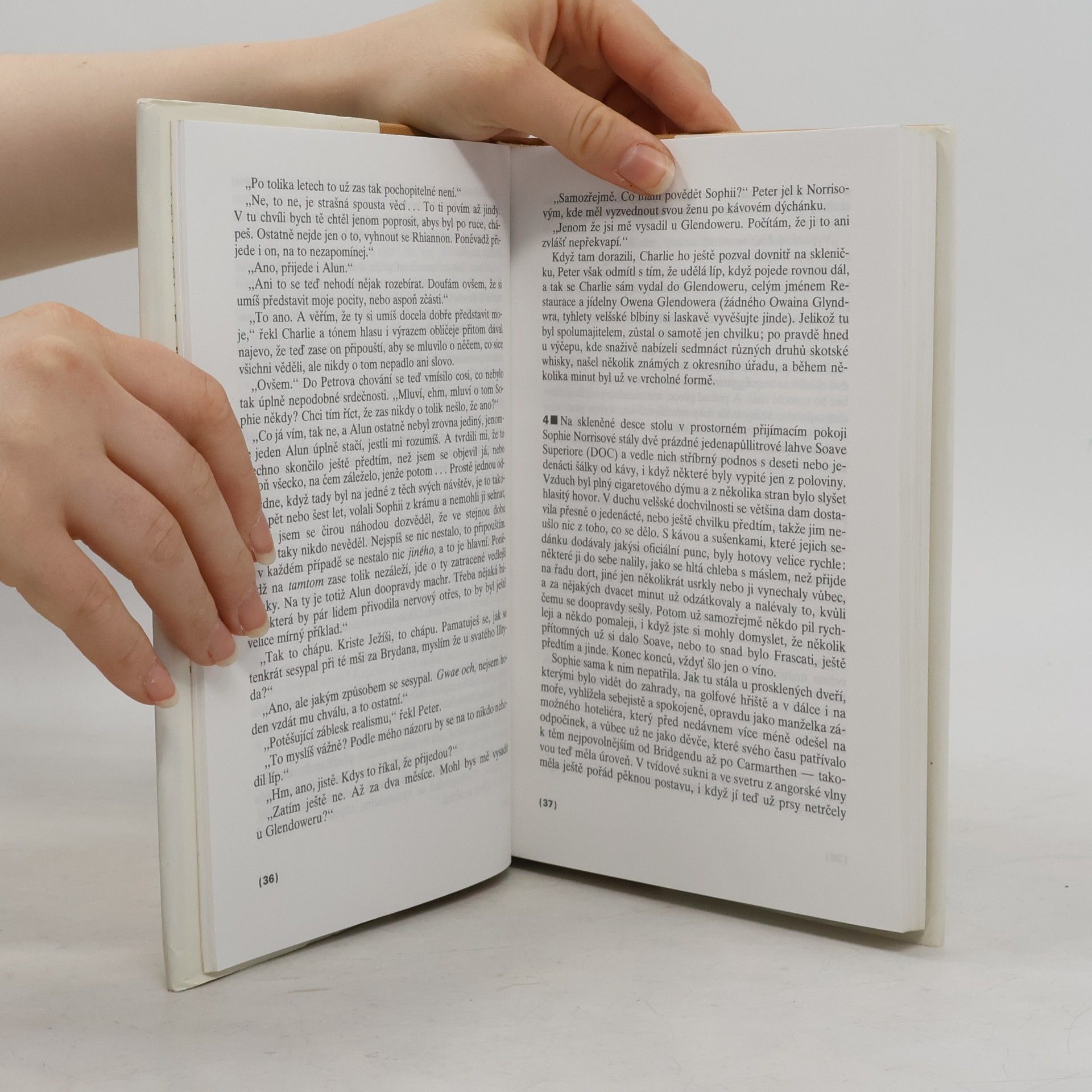 Kingsley Amis Staří parťáci