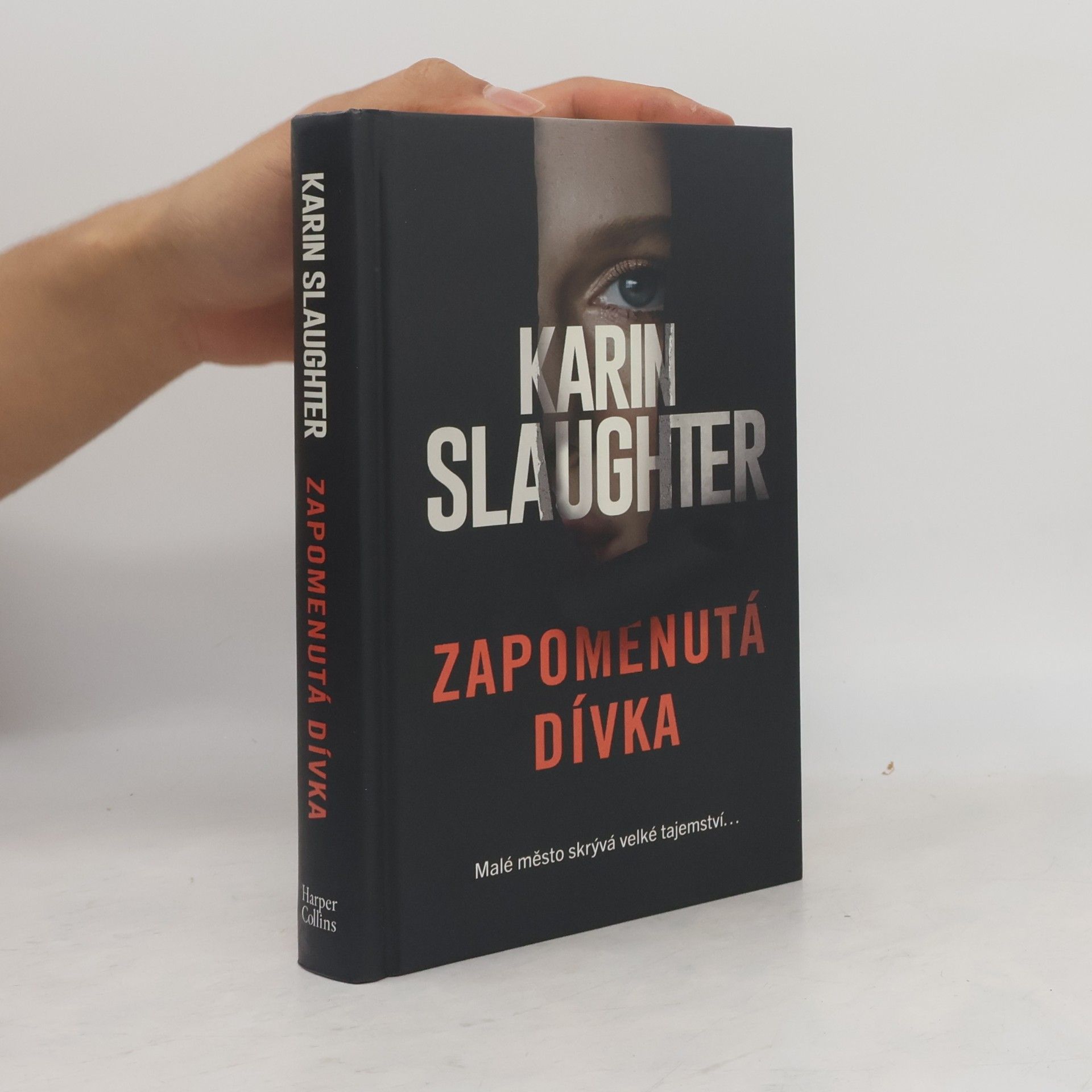 Karin Slaughter Zapomenutá dívka