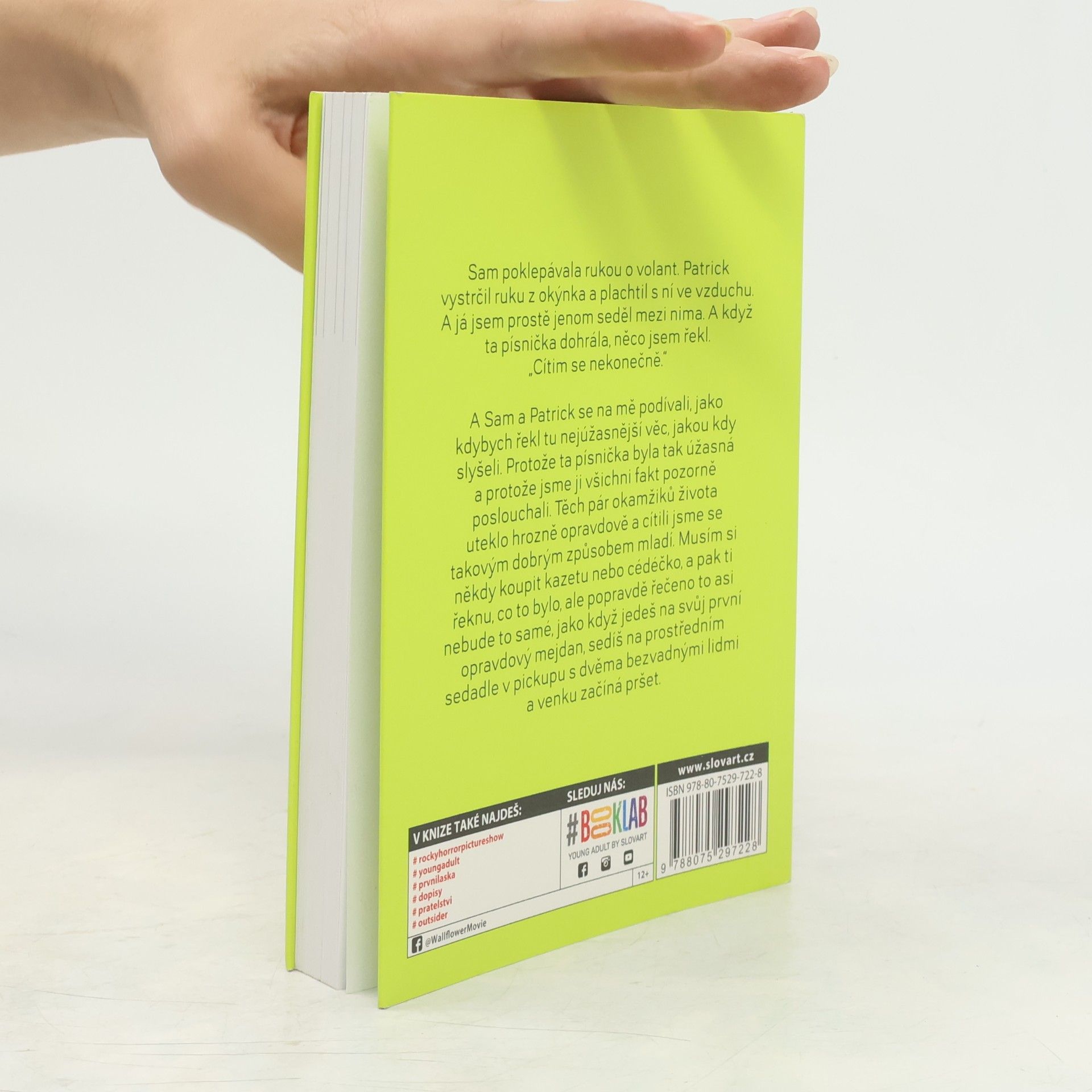 Stephen Chbosky Ten, kdo stojí v koutě
