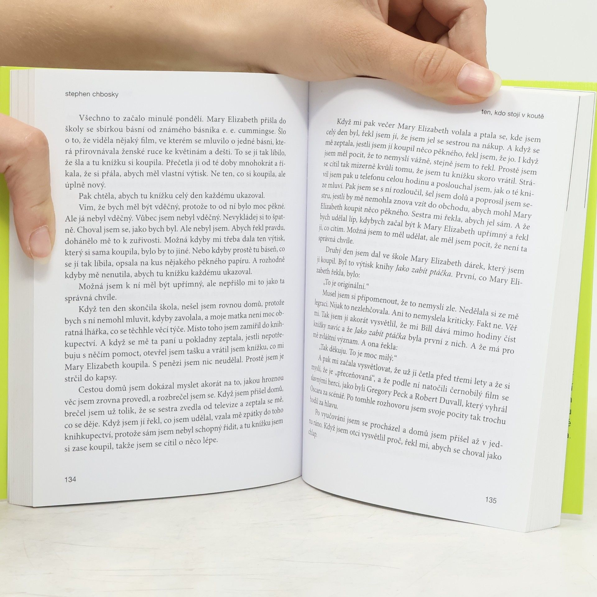 Stephen Chbosky Ten, kdo stojí v koutě