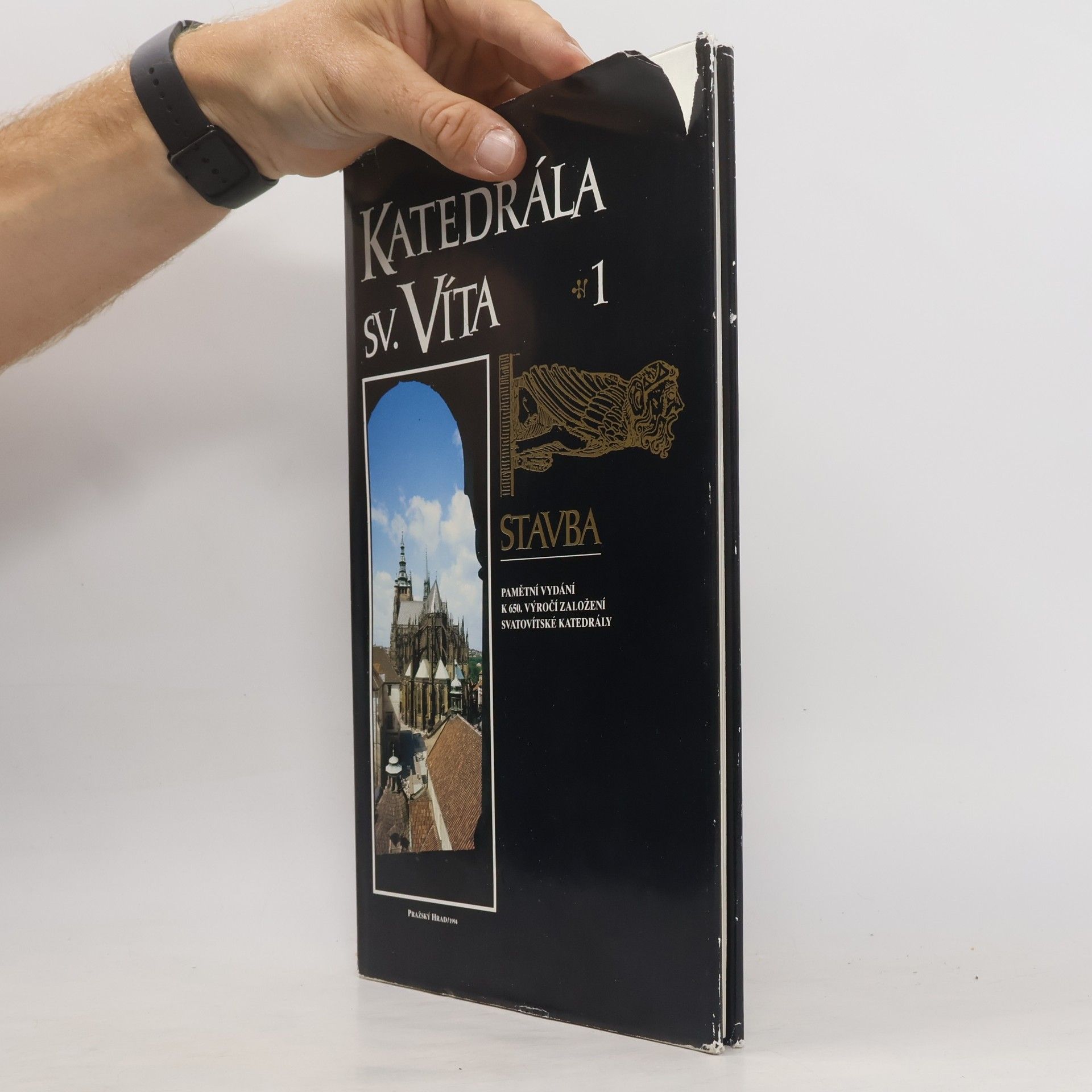 Kolektiv autorů Katedrála sv. Víta 1. Stavba