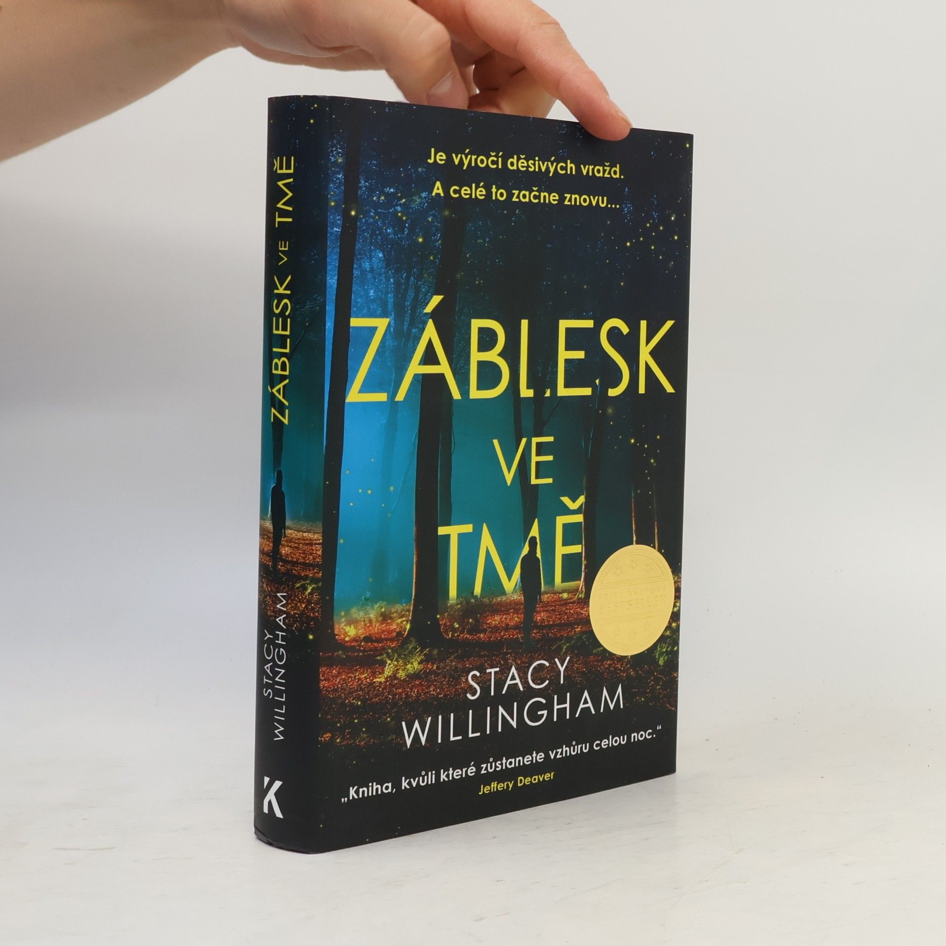 Stacy Willingham Záblesk ve tmě