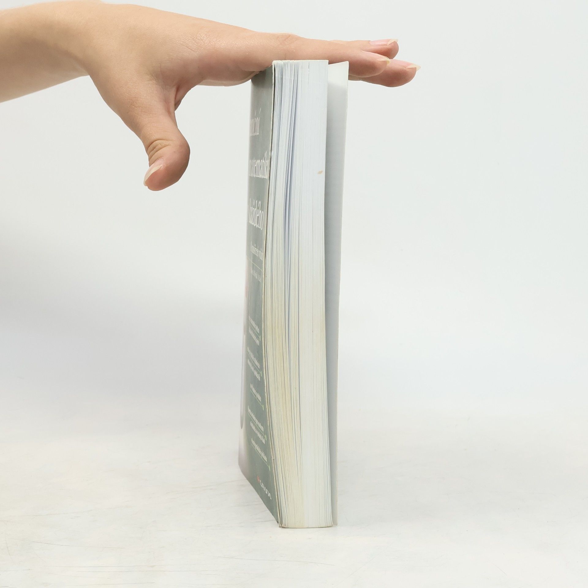 Jarmila Radová Finanční matematika pro každého