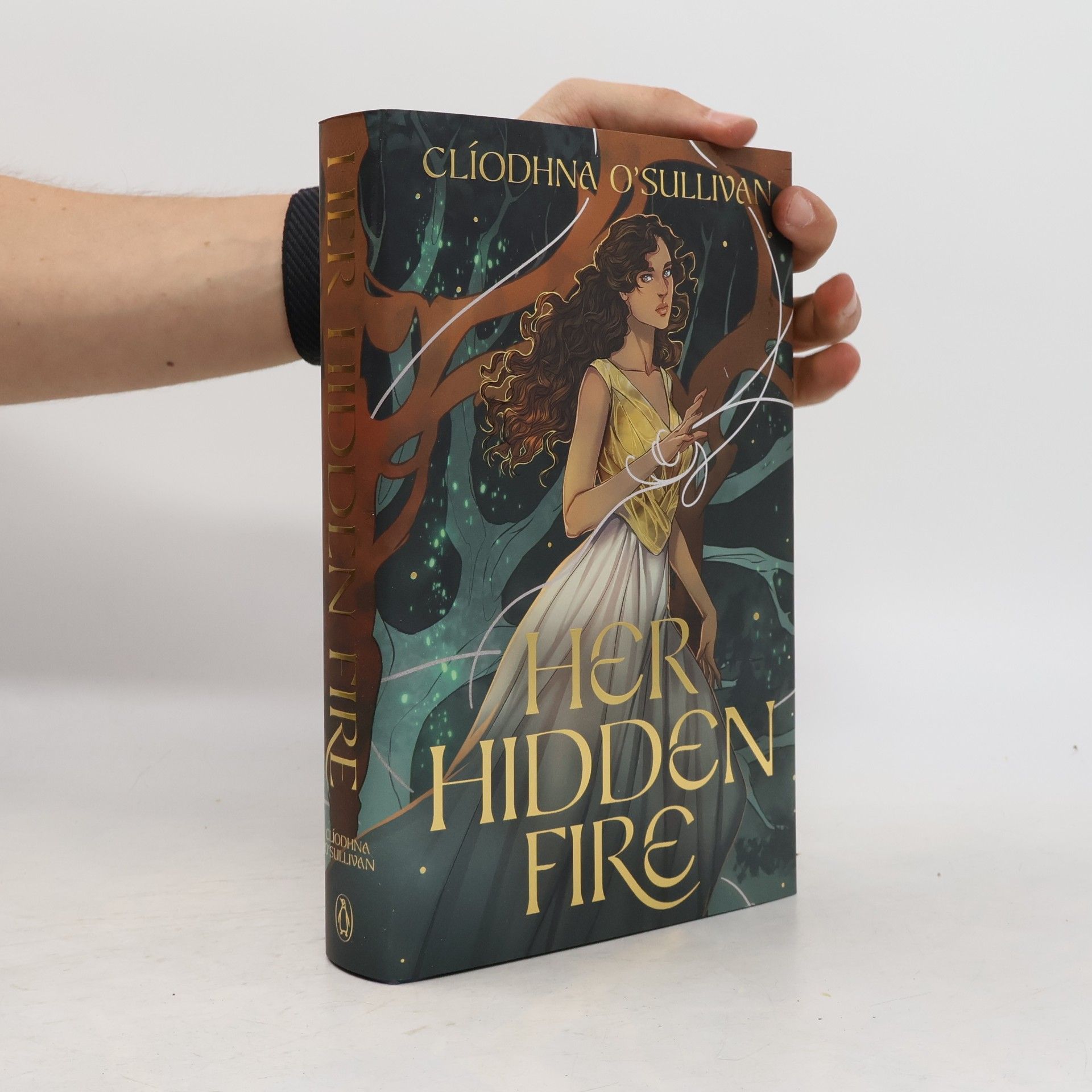 Clíodhna O'Sullivan Her Hidden Fire