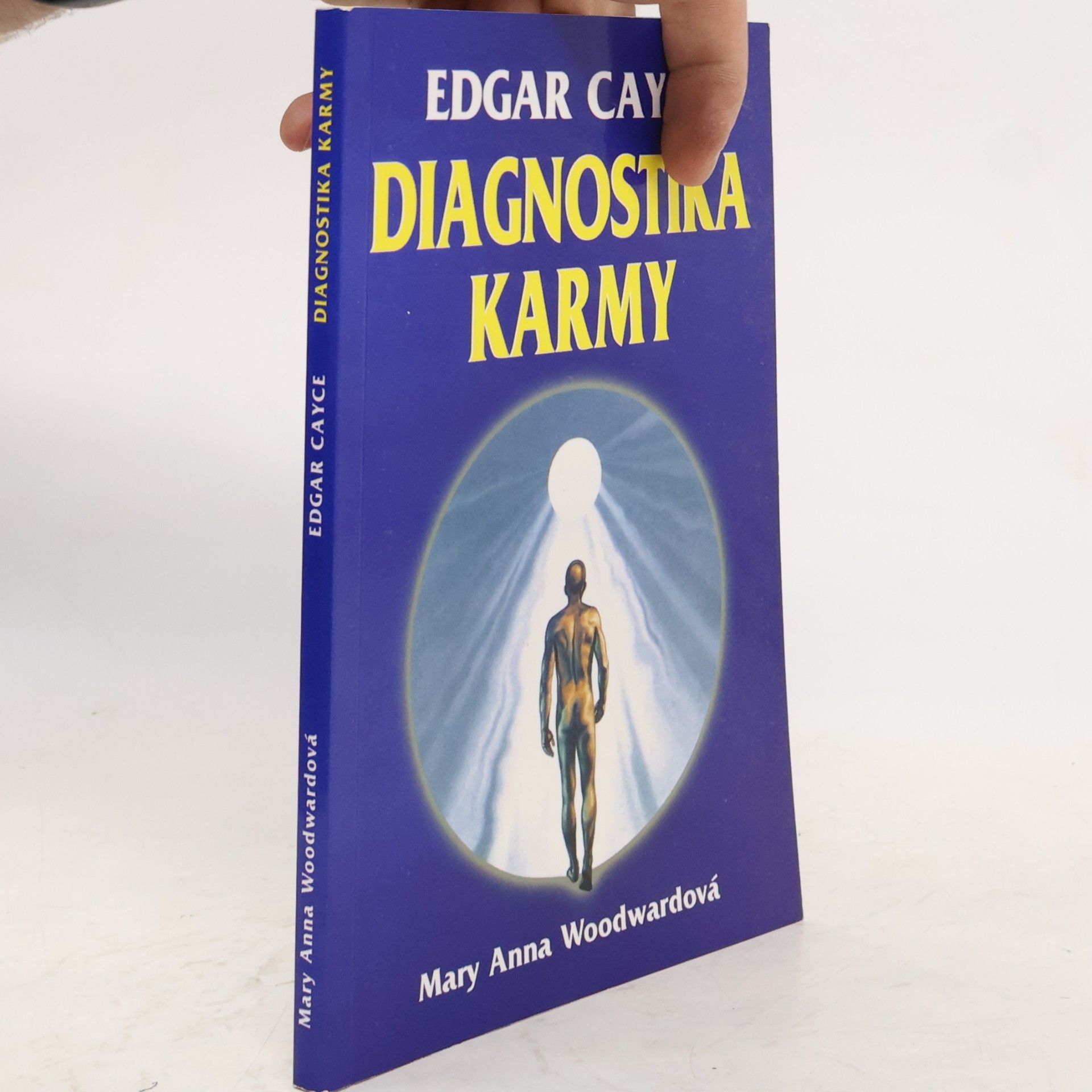 Diagnostika karmy : diagnostika a léčení karmických příčin nemocí