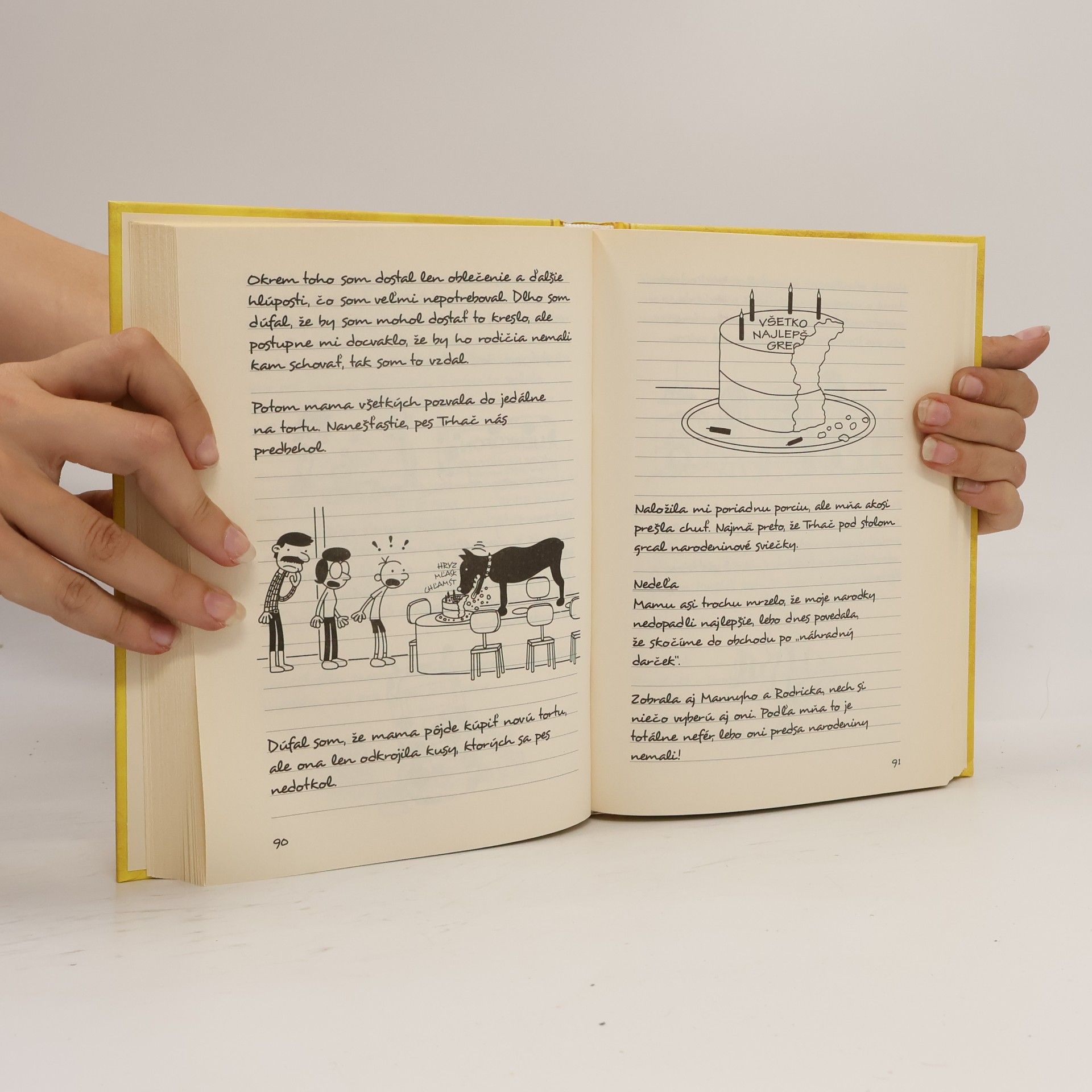 Jeff Kinney Denník odvážneho bojka 4: Prázdniny pod psa