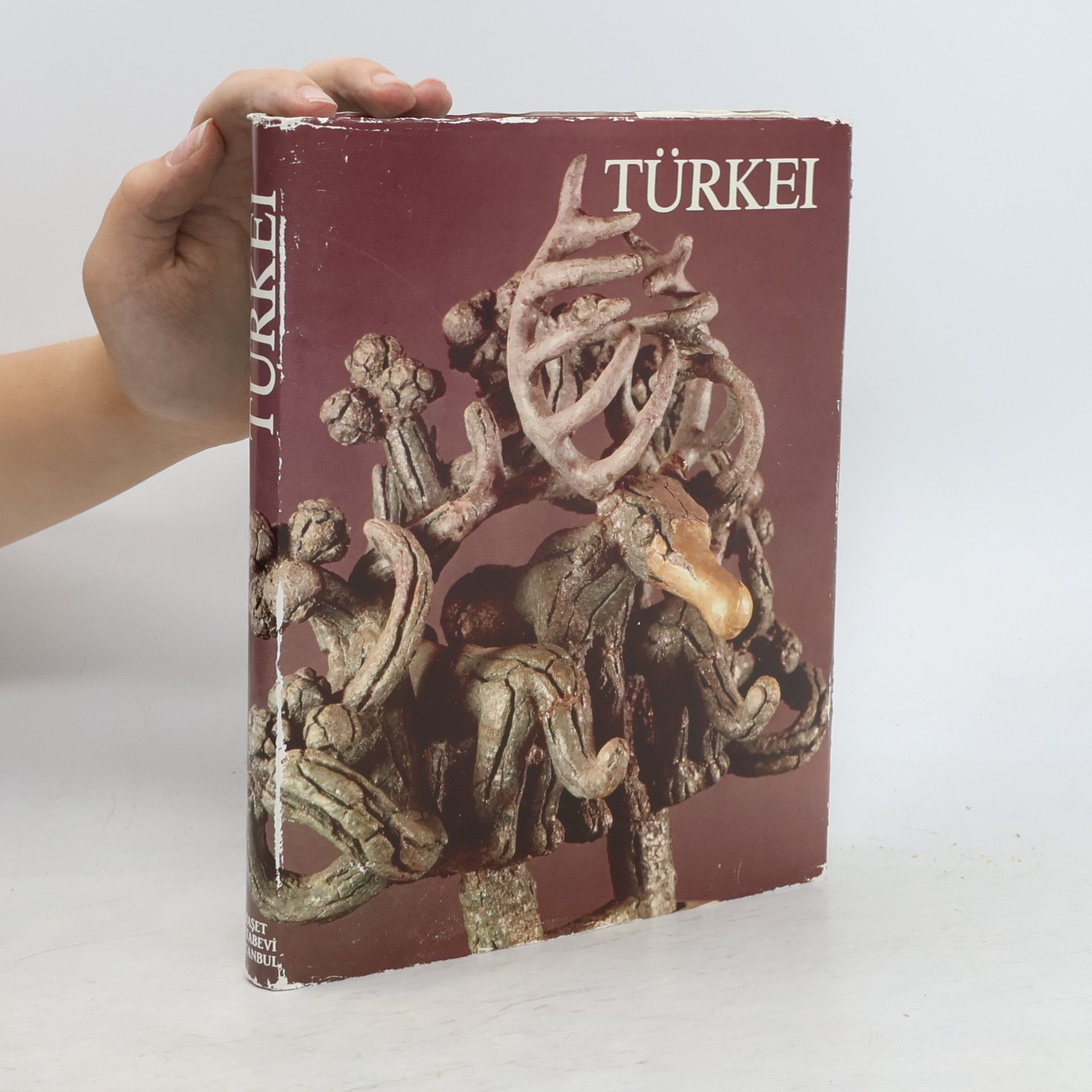 İlhan Akşit Türkei