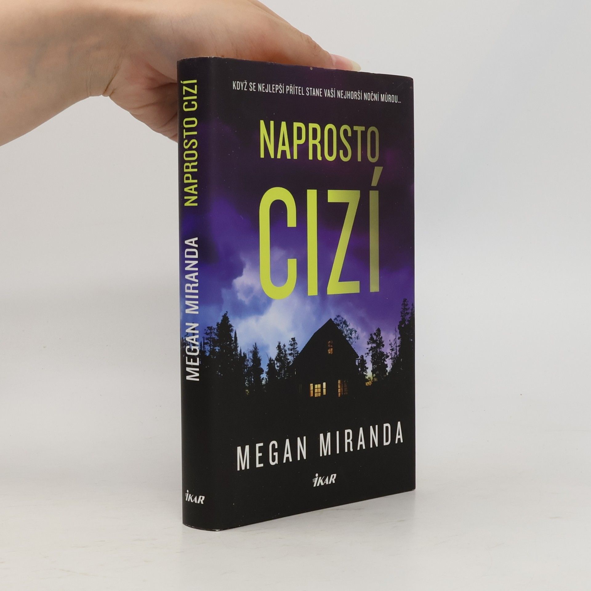 Megan Miranda Naprosto cizí