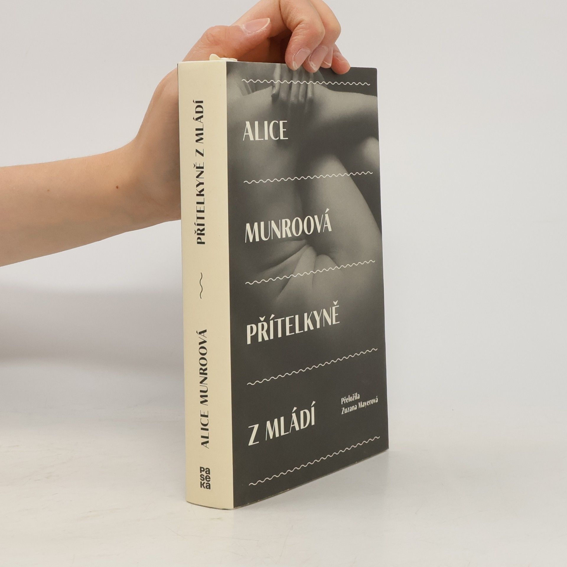 Alice Munro Přítelkyně z mládí