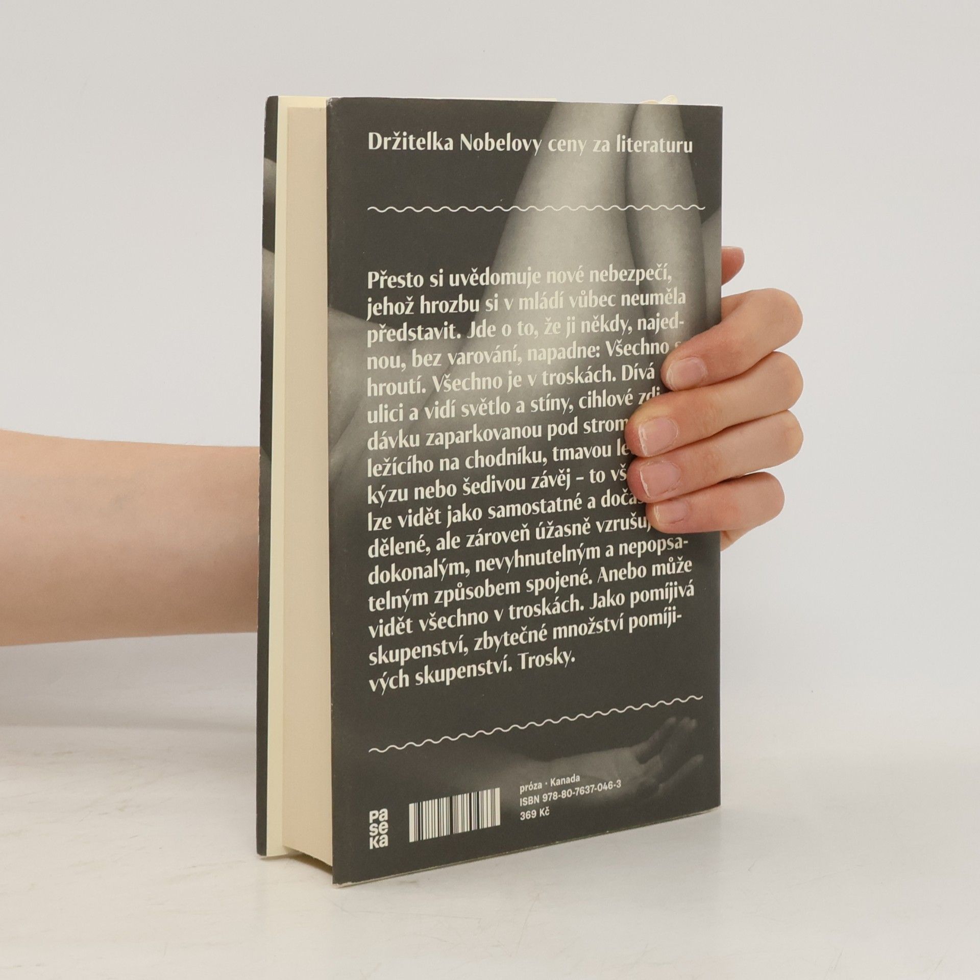 Alice Munro Přítelkyně z mládí