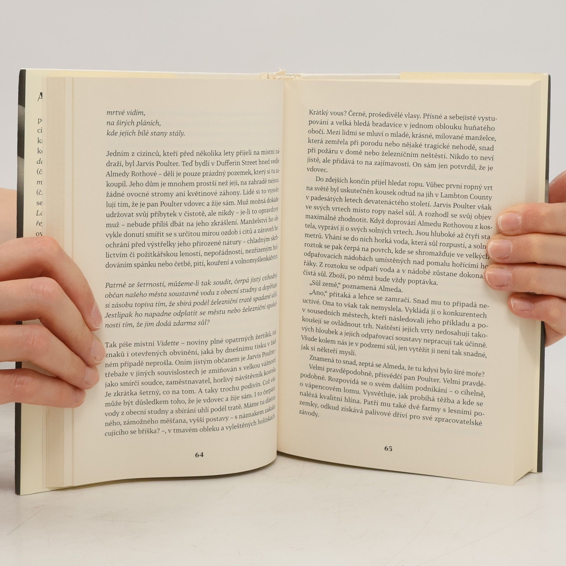 Alice Munro Přítelkyně z mládí